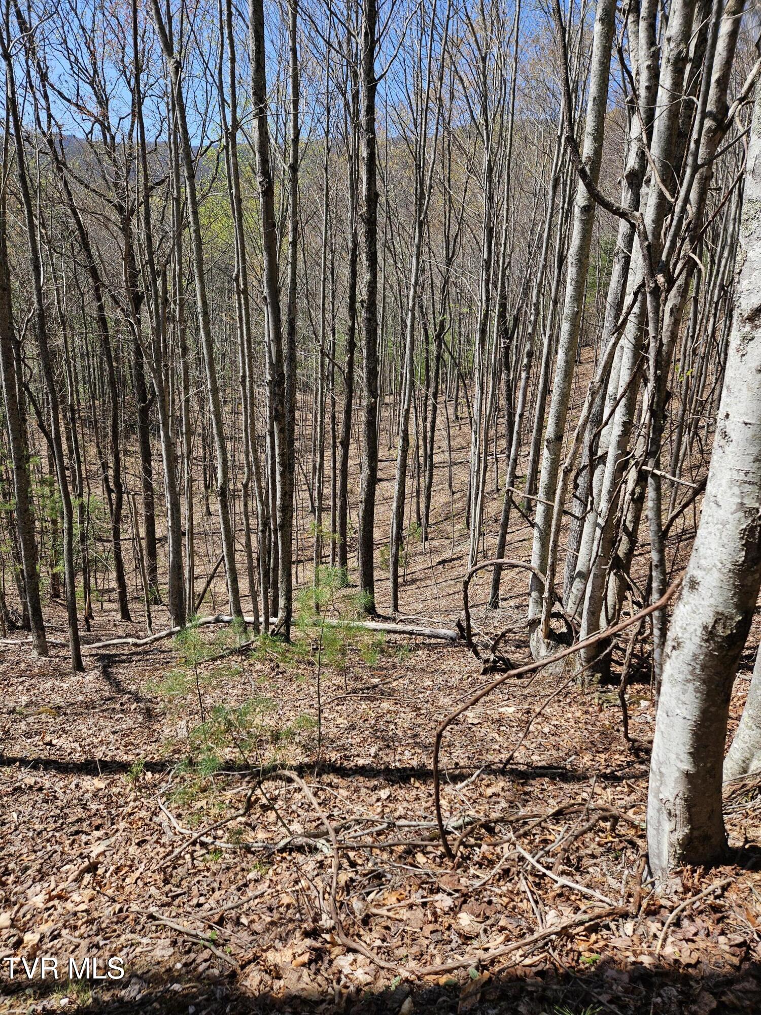 0 Ray Kegley Road, Unit 1C Erwin, TN 37650 - Photo 5 of 27 20250409_145441