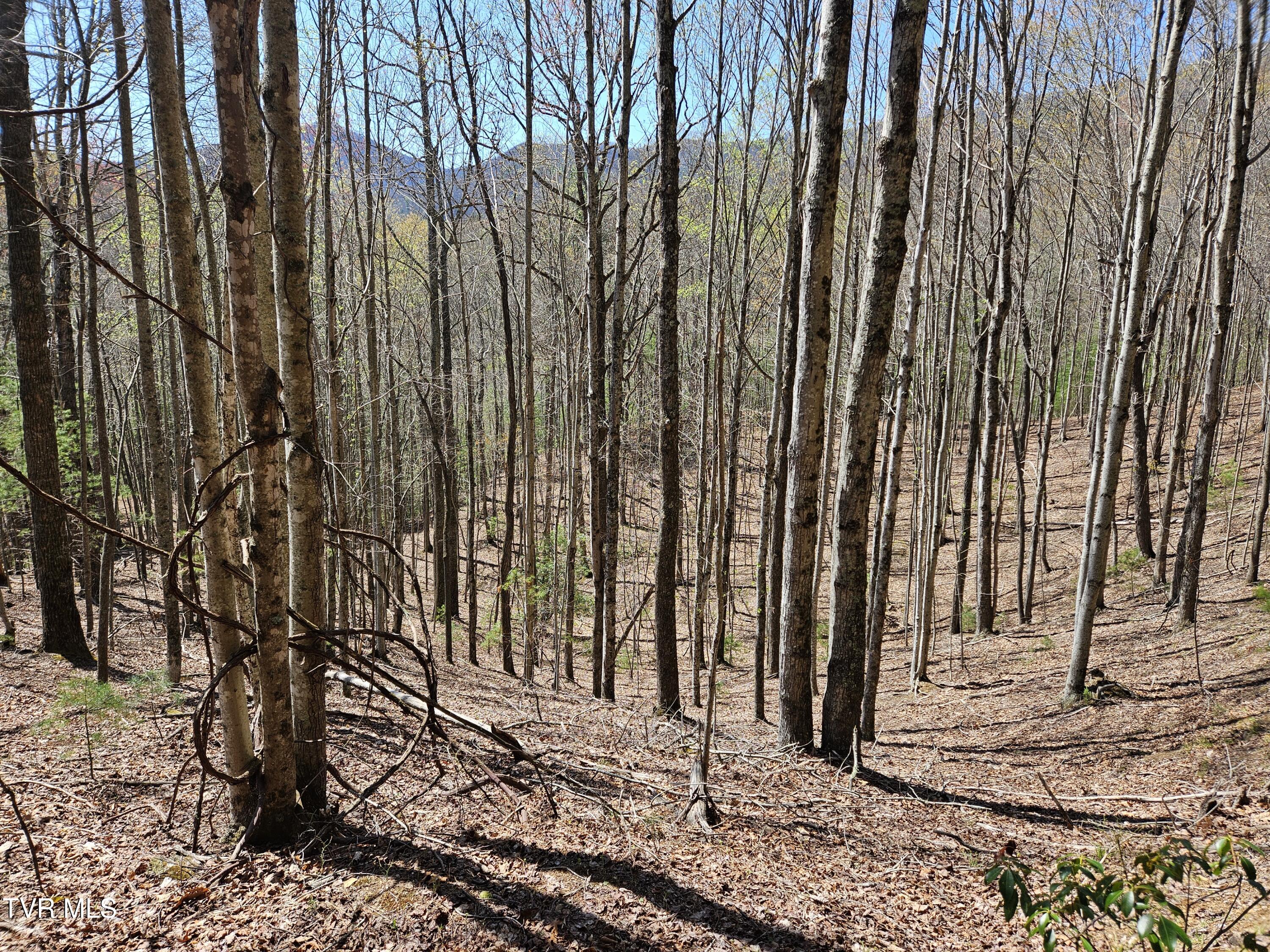 0 Ray Kegley Road, Unit 1C Erwin, TN 37650 - Photo 7 of 27 20250409_145502