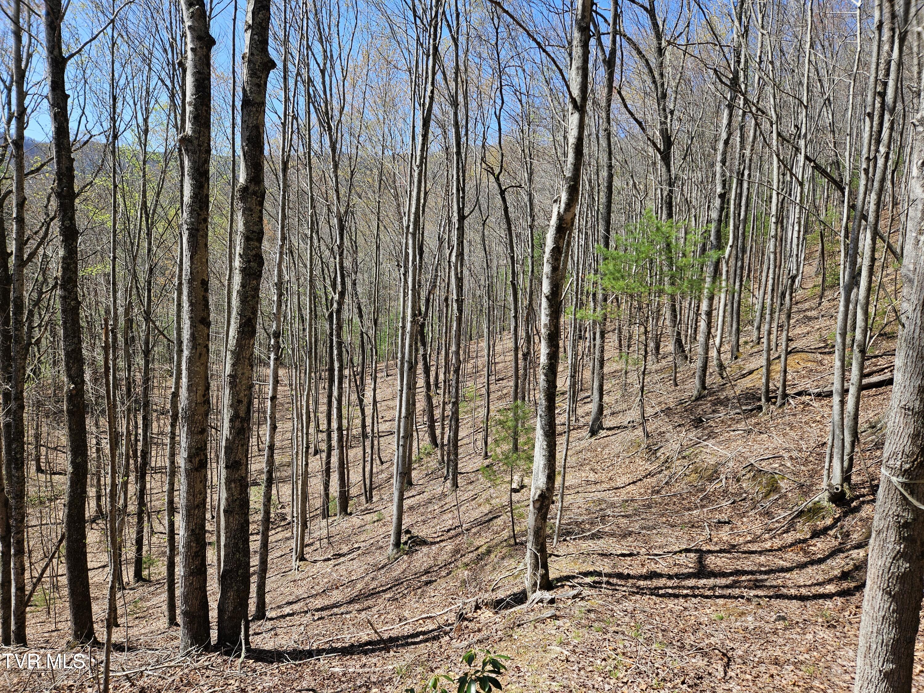 0 Ray Kegley Road, Unit 1C Erwin, TN 37650 - Photo 8 of 27 20250409_145507