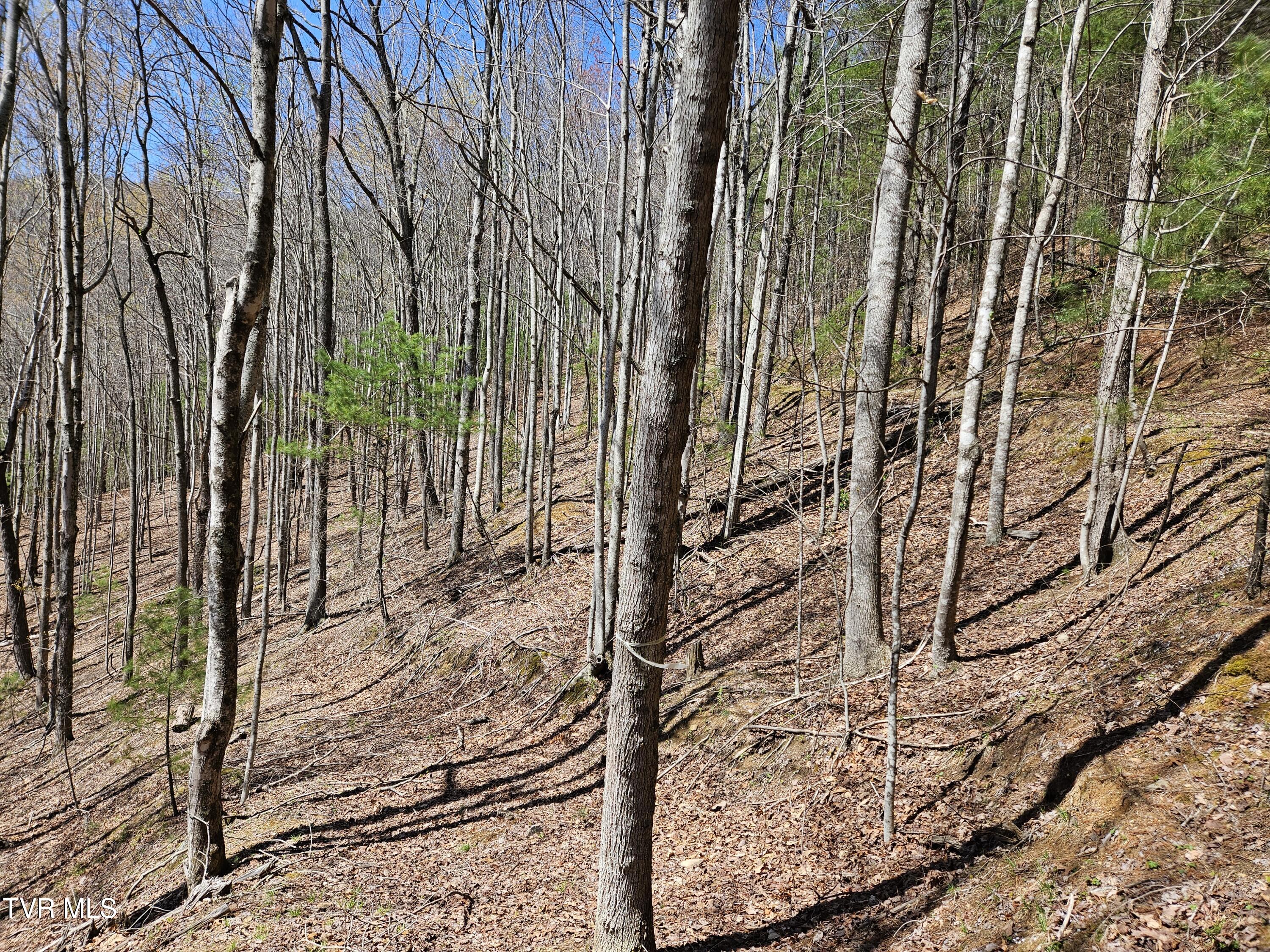 0 Ray Kegley Road, Unit 1C Erwin, TN 37650 - Photo 9 of 27 20250409_145512