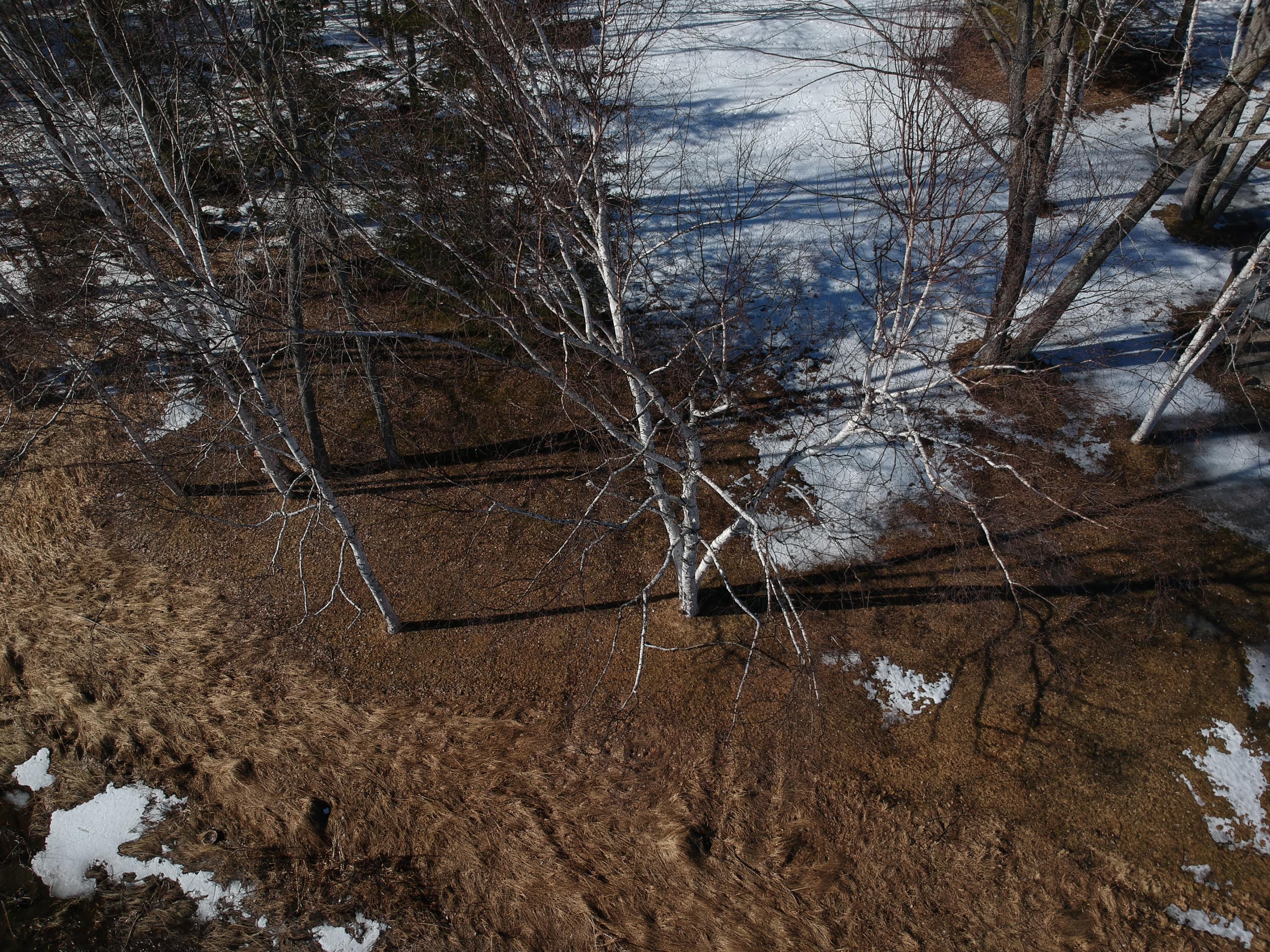 5464 Mission Road Alanson, MI 49706 - Photo 34 of 38 Gallery Image 34