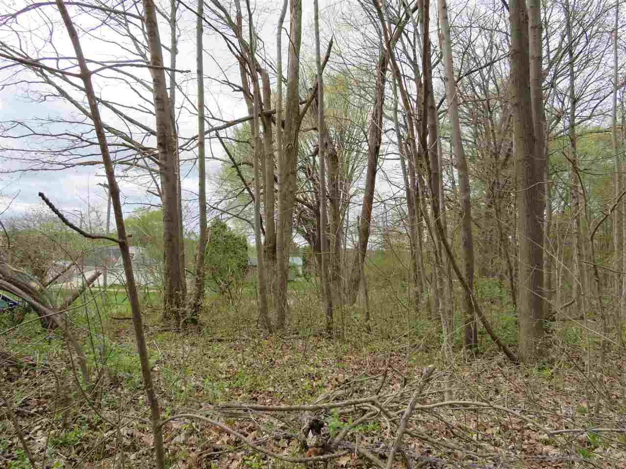 0 Wagner Road Imlay City, MI 48444 - Photo 5 of 6