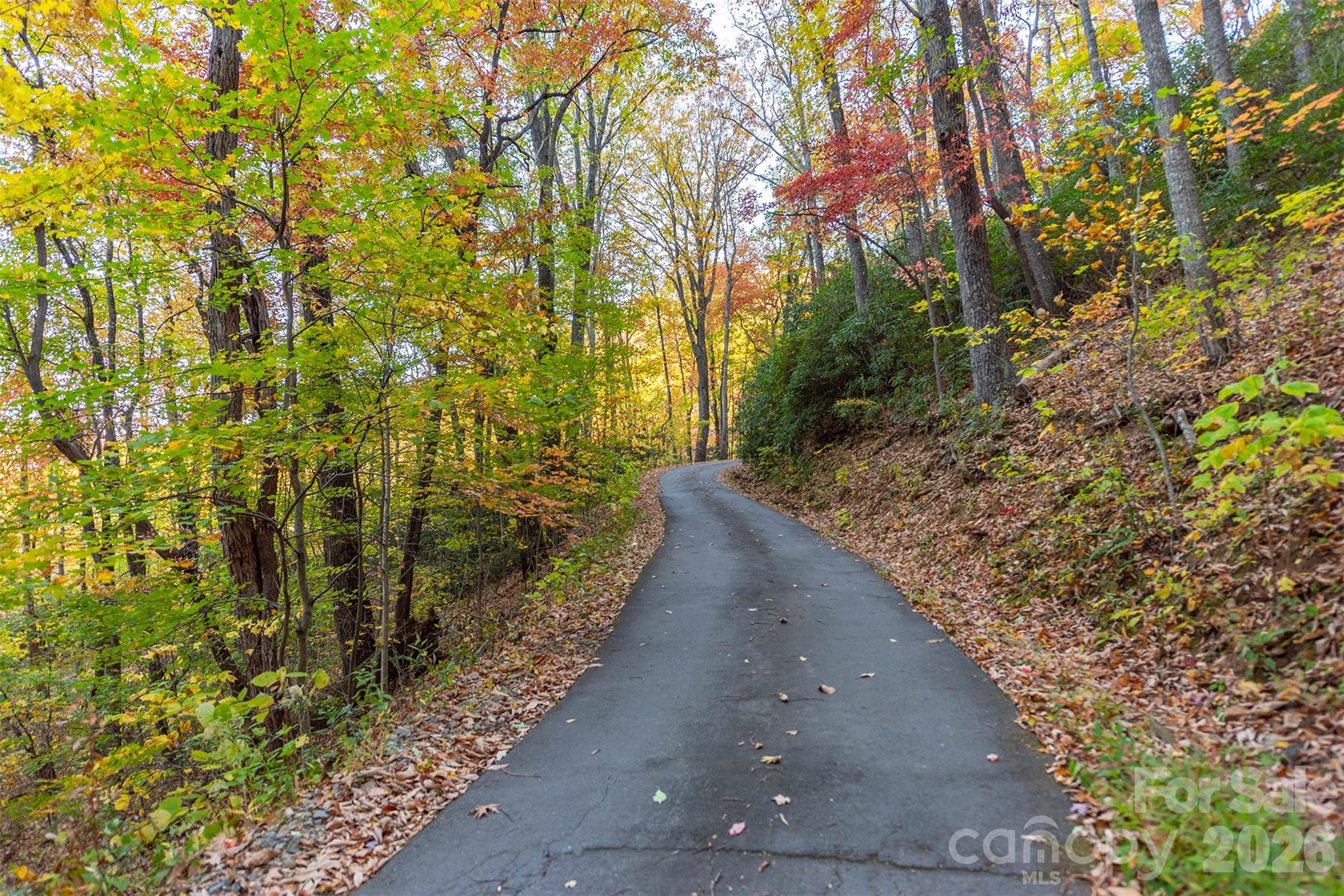 Tbd Summer Haven Road, Unit 16 Swannanoa, NC 28778 - Photo 33 of 45