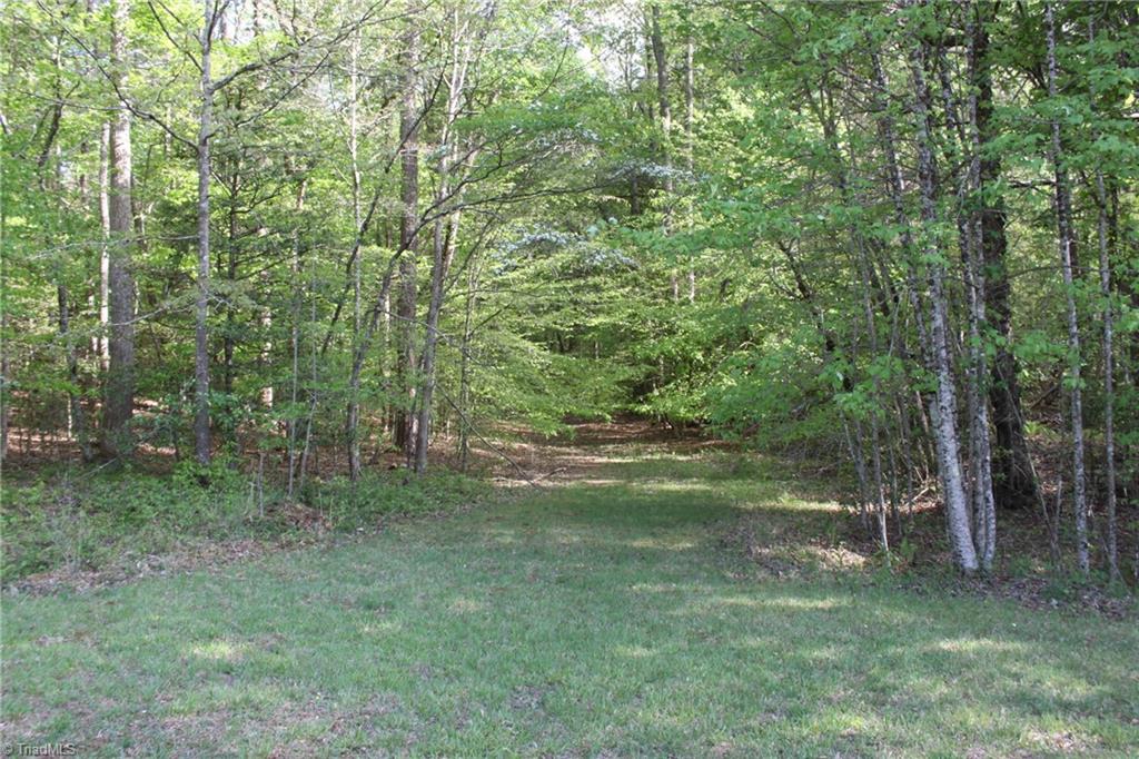 Tbd- Austin Traphill Road Elkin, NC 28621 - Photo 4 of 17