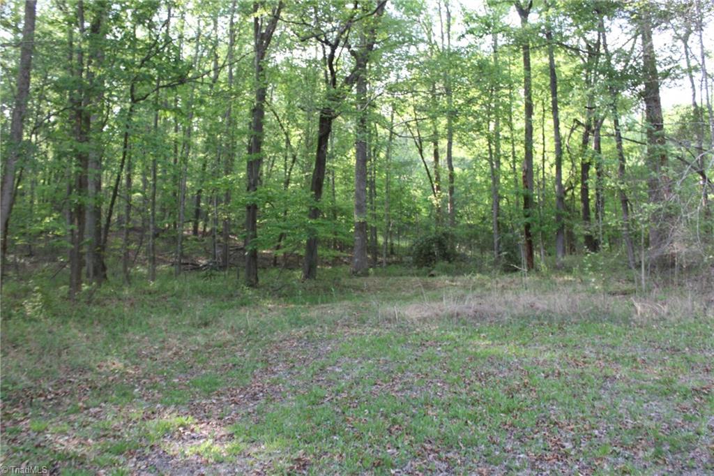 Tbd- Austin Traphill Road Elkin, NC 28621 - Photo 8 of 17