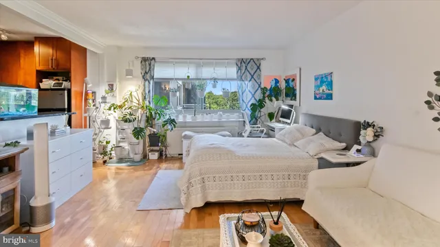 a room with furniture and a potted plant