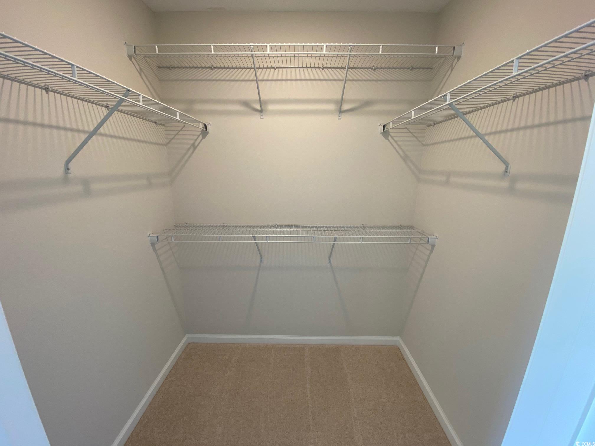 355 5th Avenue Aynor, SC 29511 - Photo 11 of 15 Walk in closet with carpet