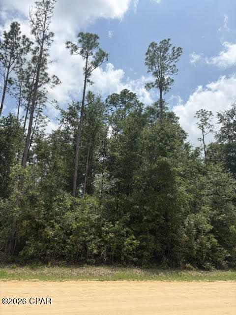 0 Forest Glen Road Fountain, FL 32438 - Photo 4 of 8