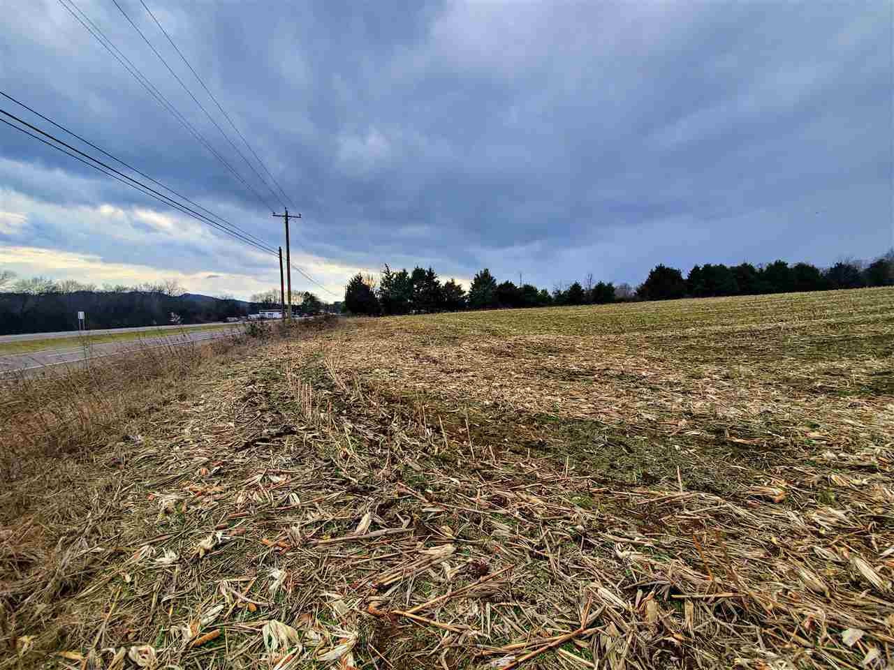 3484 Highway 11 Riceville, TN 37370 - Photo 4 of 5