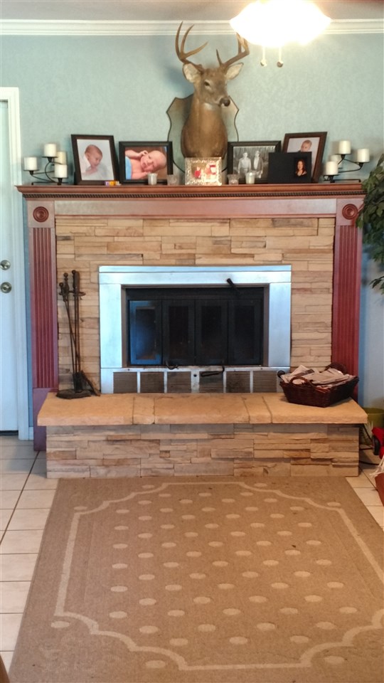 5375 Woods Creek Road Perry, FL 32347 - Photo 10 of 18 Gallery Image 10