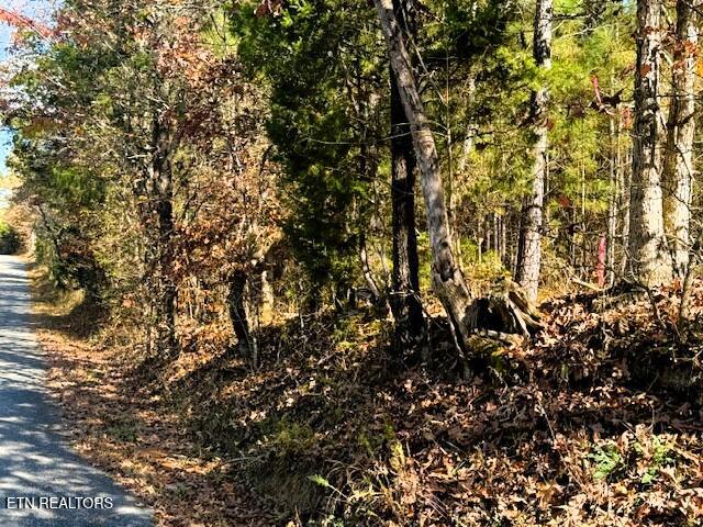 5-acres Redman Lane Decatur, TN 37322 - Photo 3 of 10 Road Frontage