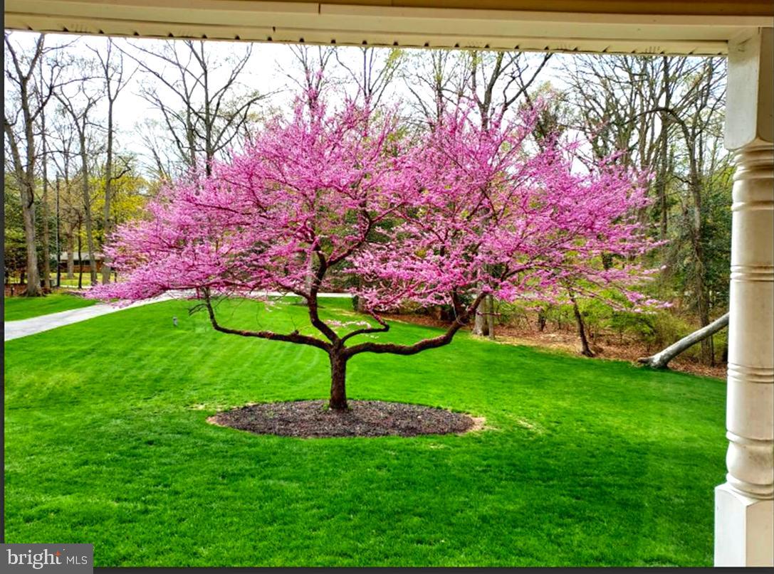 4000 Hanson Road White Plains, MD 20695 - Photo 14 of 16 View from front door