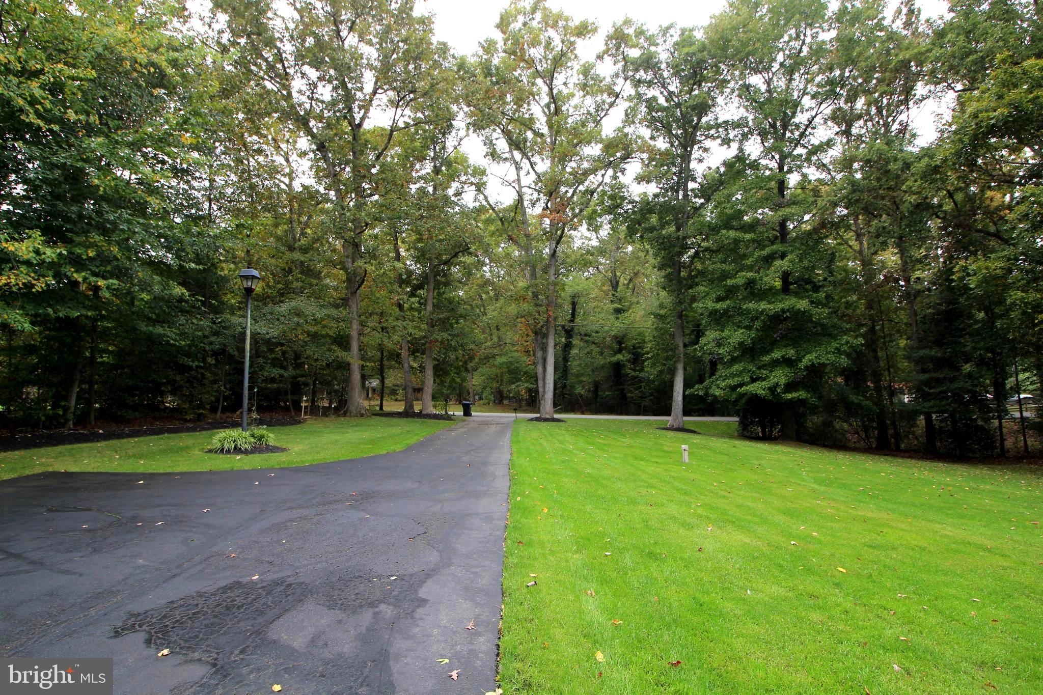 4000 Hanson Road White Plains, MD 20695 - Photo 16 of 16 Driveway view from house