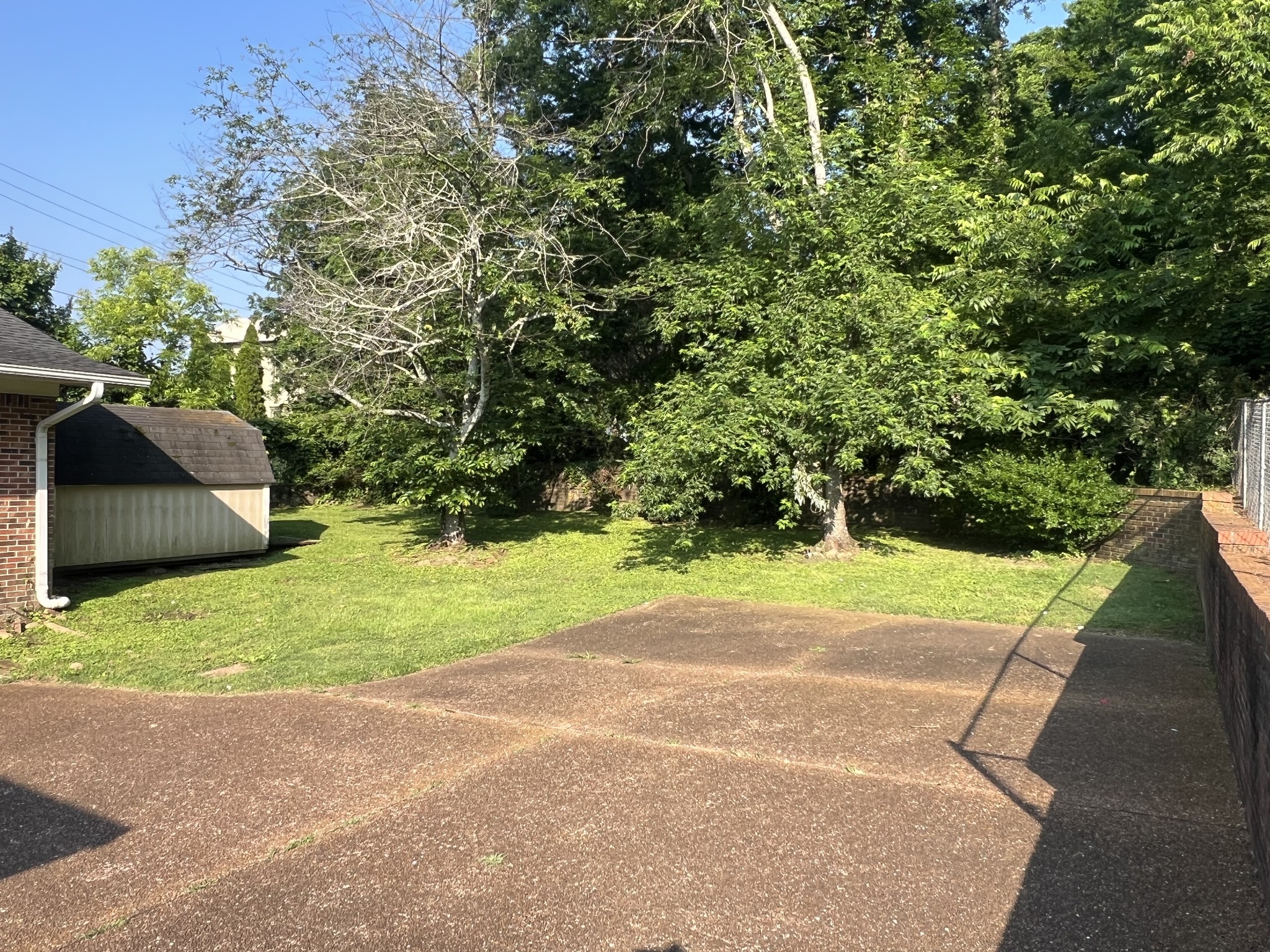 212 North 3rd Street Pulaski, TN 38478 - Photo 37 of 38 a view of a yard with plants and trees