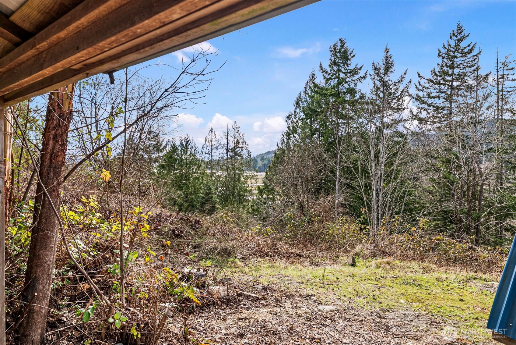 309723 Highway 101 Brinnon, WA 98320 - Photo 15 of 40 a view of a yard