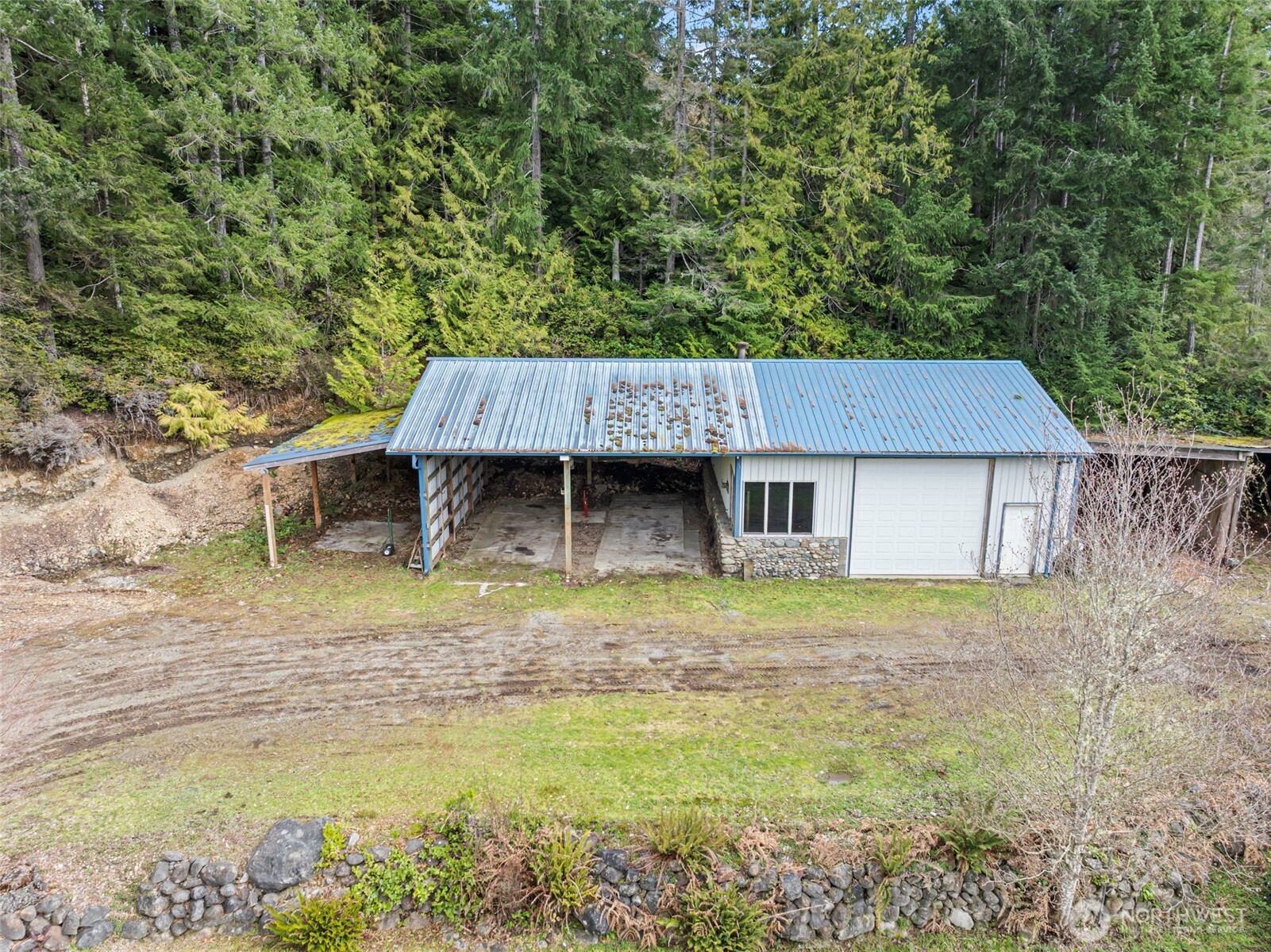 309723 Highway 101 Brinnon, WA 98320 - Photo 7 of 40 a backyard of a house with large trees and a wooden fence