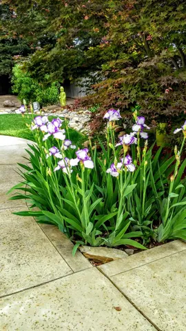 $579,000 | 2805 Granite Park Lane, Elk Grove, CA 95758