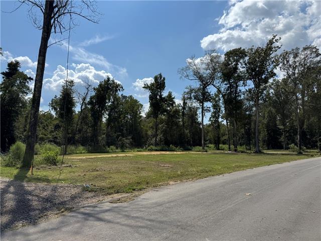 Lot B Linda's Haven Road Springfield, LA 70462 - Photo 3 of 6 Gallery Image 3