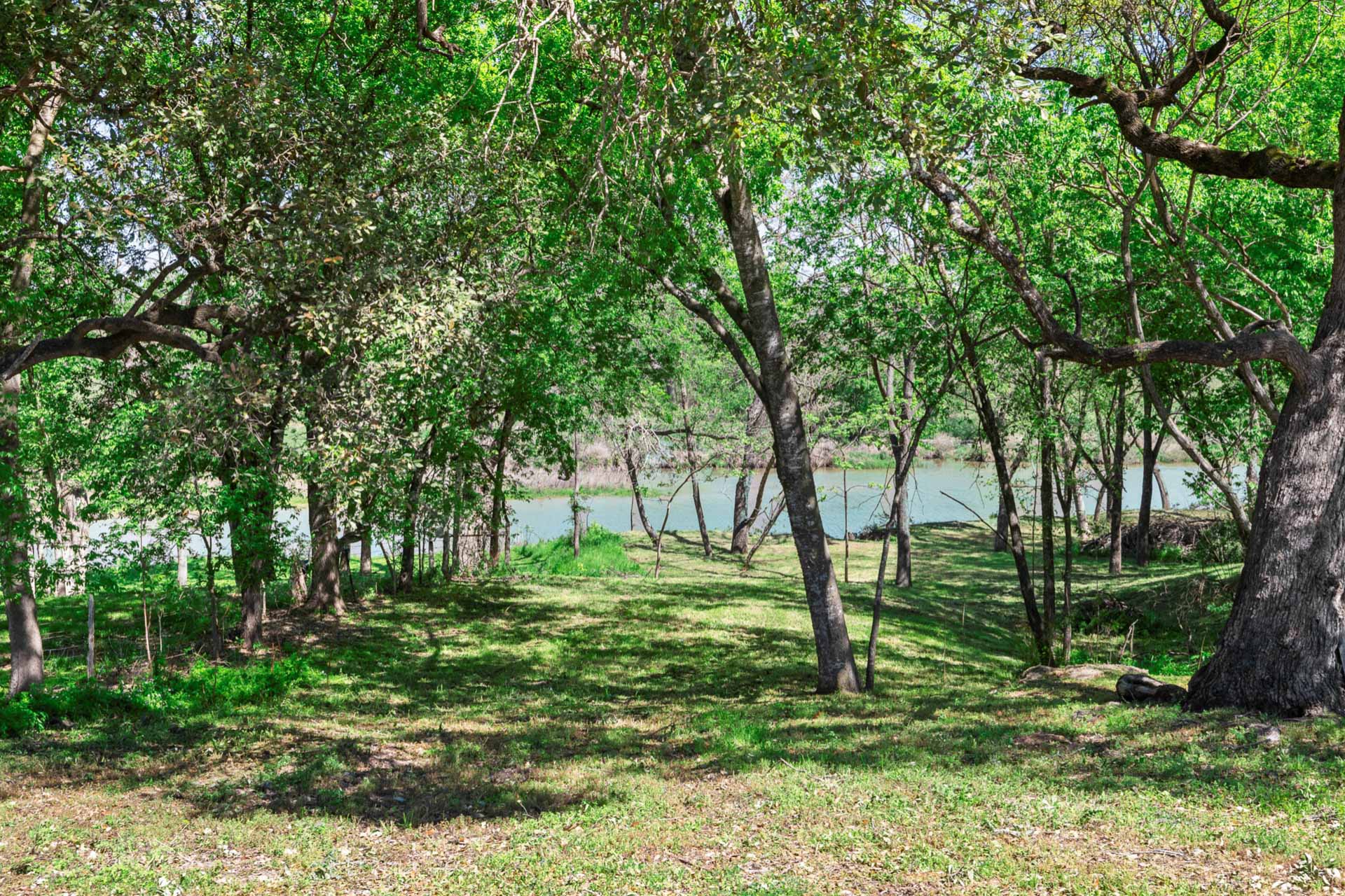 571 Ranch Road 1 Stonewall, TX 78671 - Photo 12 of 21 a big yard with lots of green space and trees