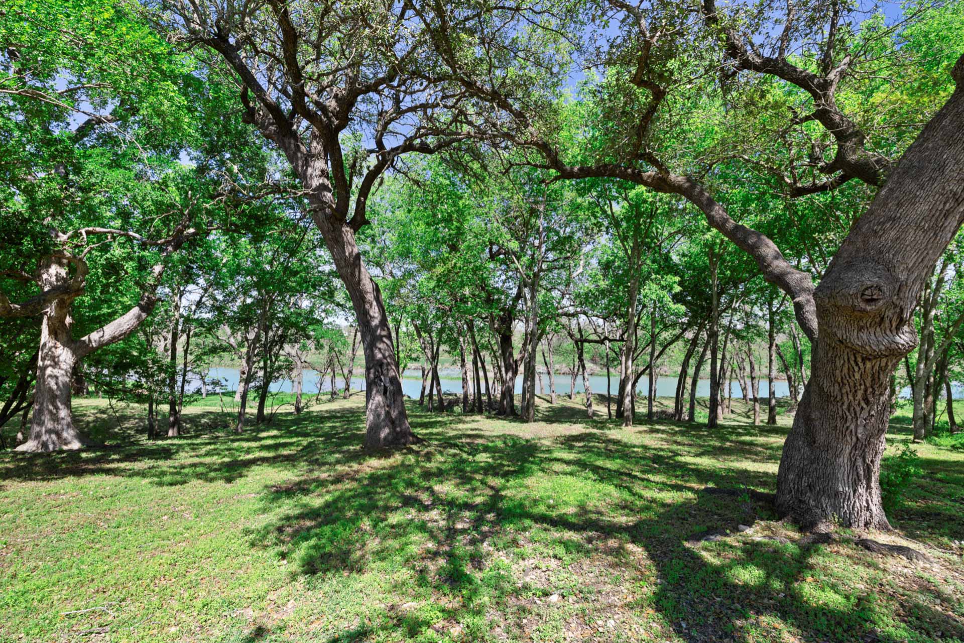 571 Ranch Road 1 Stonewall, TX 78671 - Photo 14 of 21 a view of grassy field with benches and trees all around