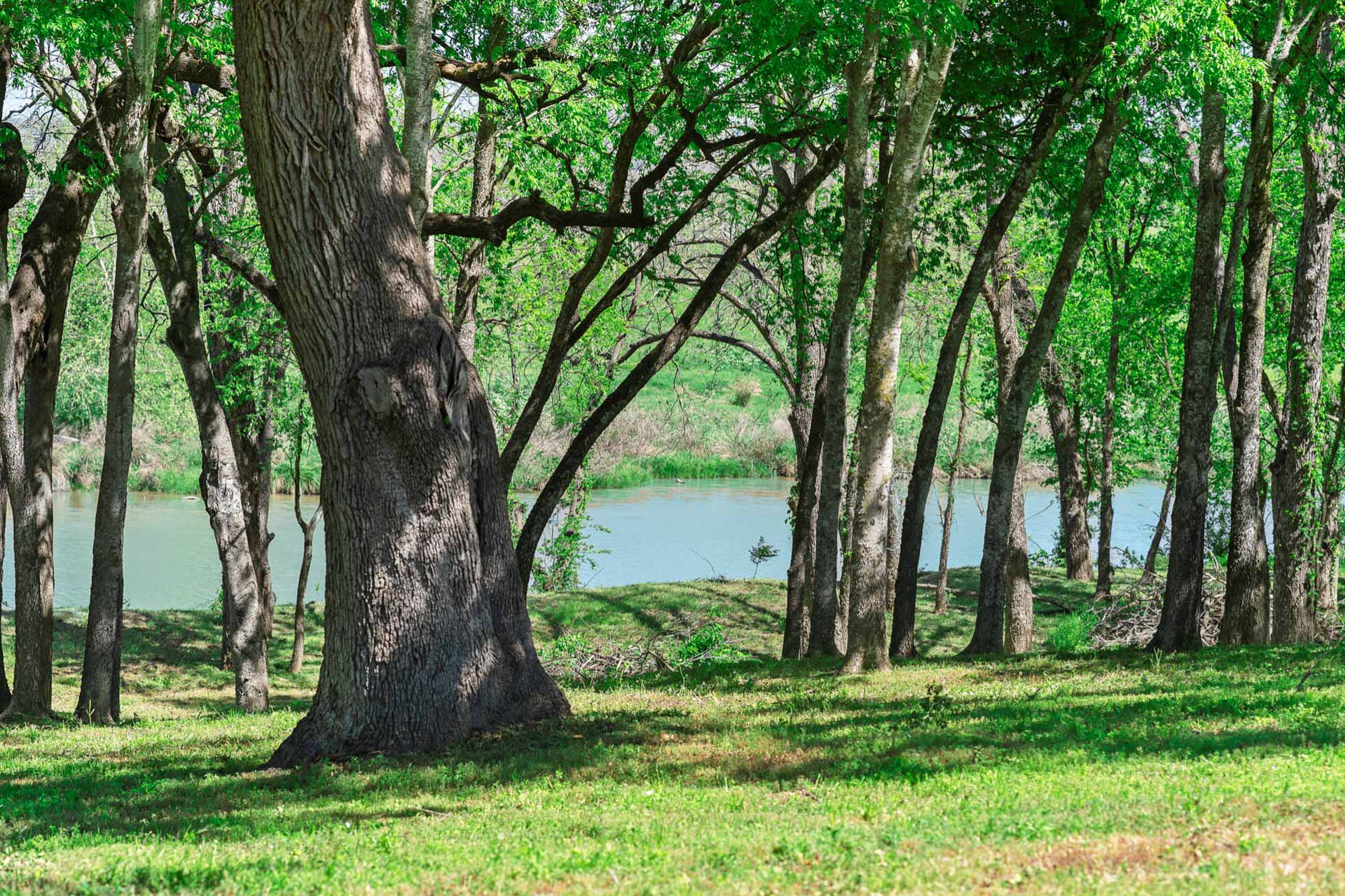 571 Ranch Road 1 Stonewall, TX 78671 - Photo 19 of 21 a backyard of a house with lots of green space