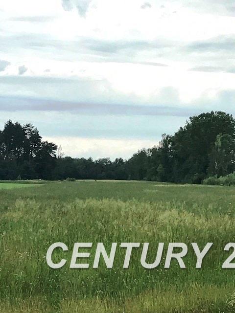 3000 Meridian Road Merrill, MI 48637 - Photo 1 of 6
