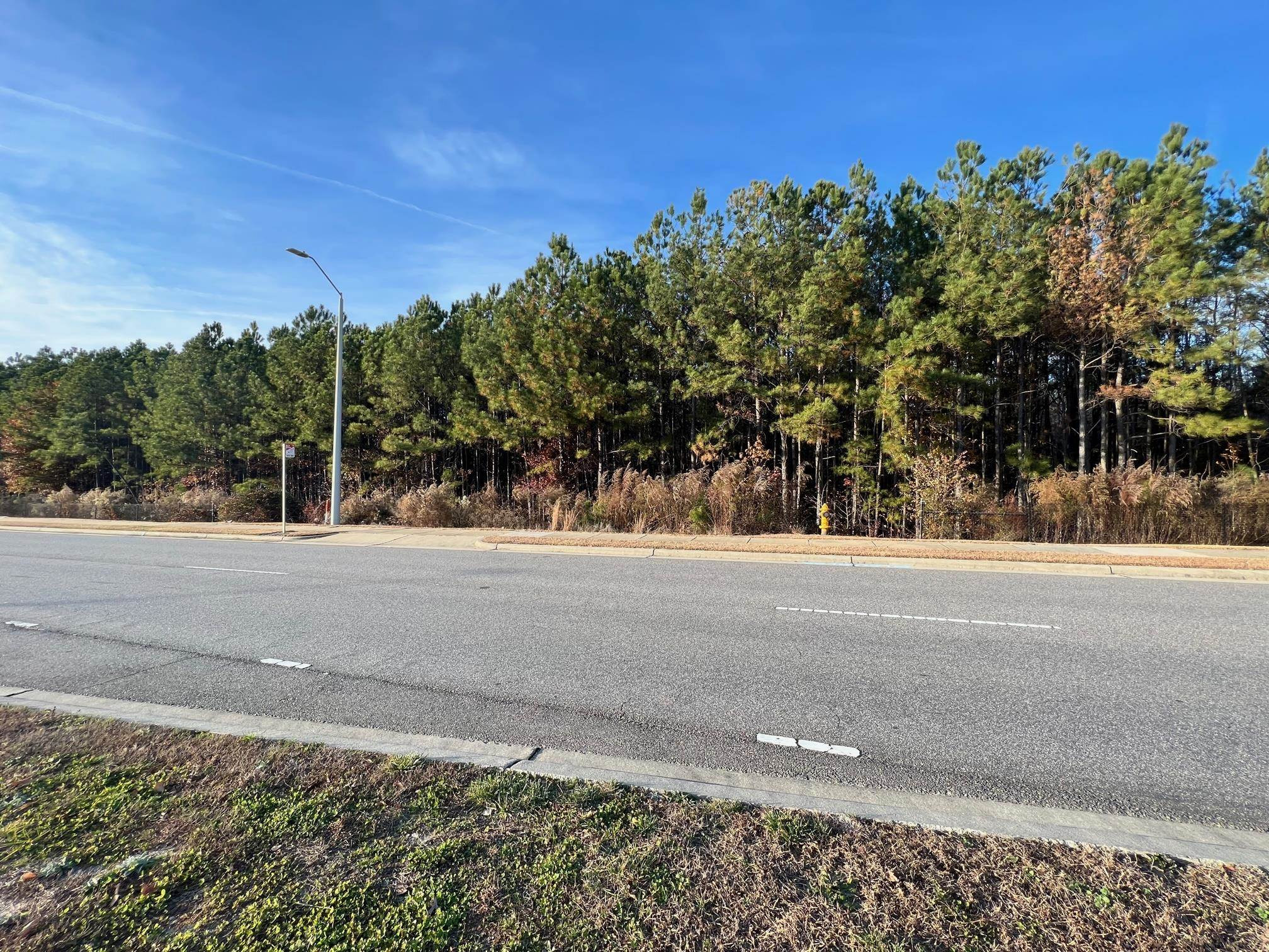 0 Timber Drive Garner, NC 27529 - Photo 5 of 8 Photo 5