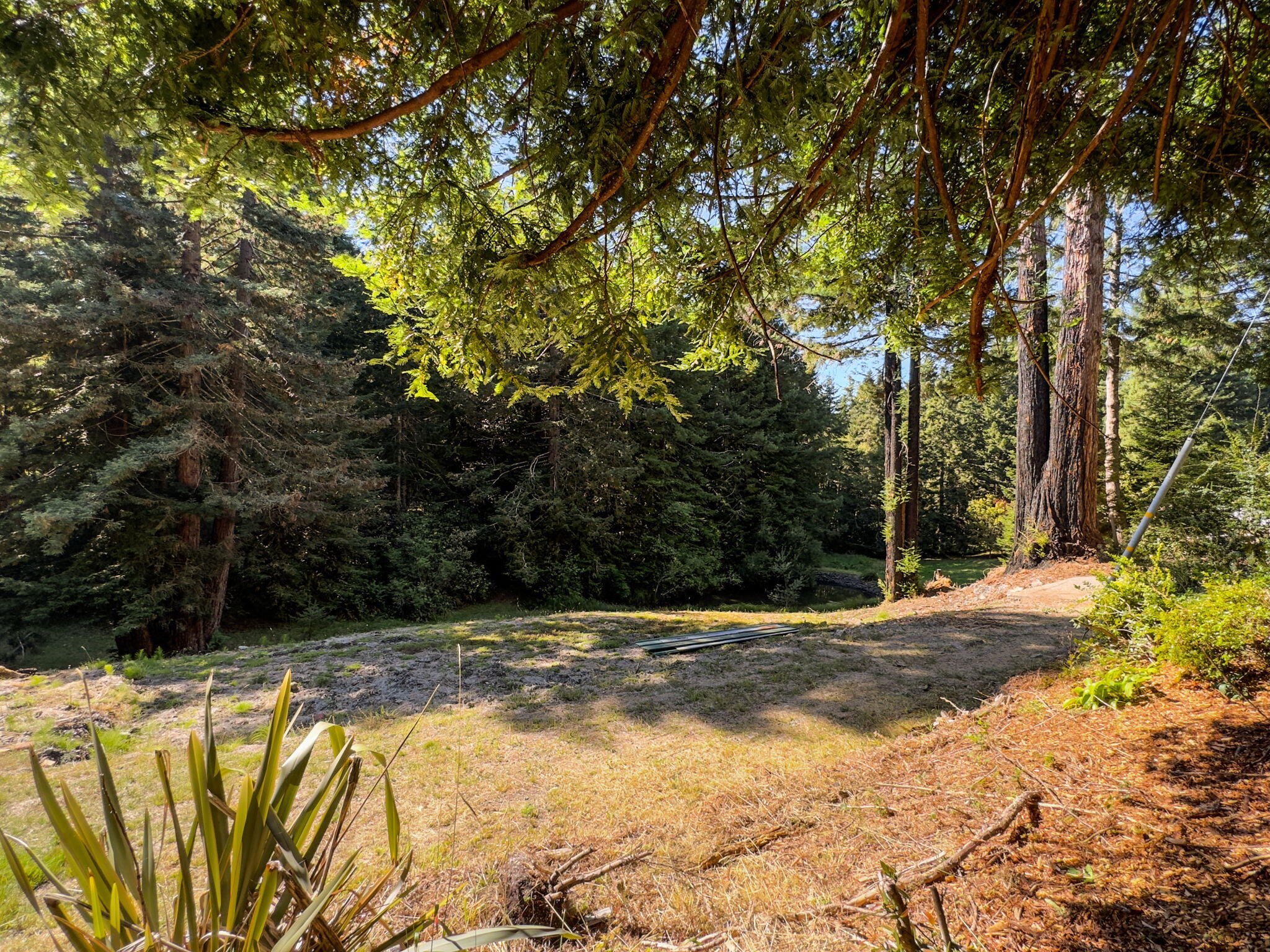 7097 Fickle Hill Road Arcata, CA 95521 - Photo 13 of 43