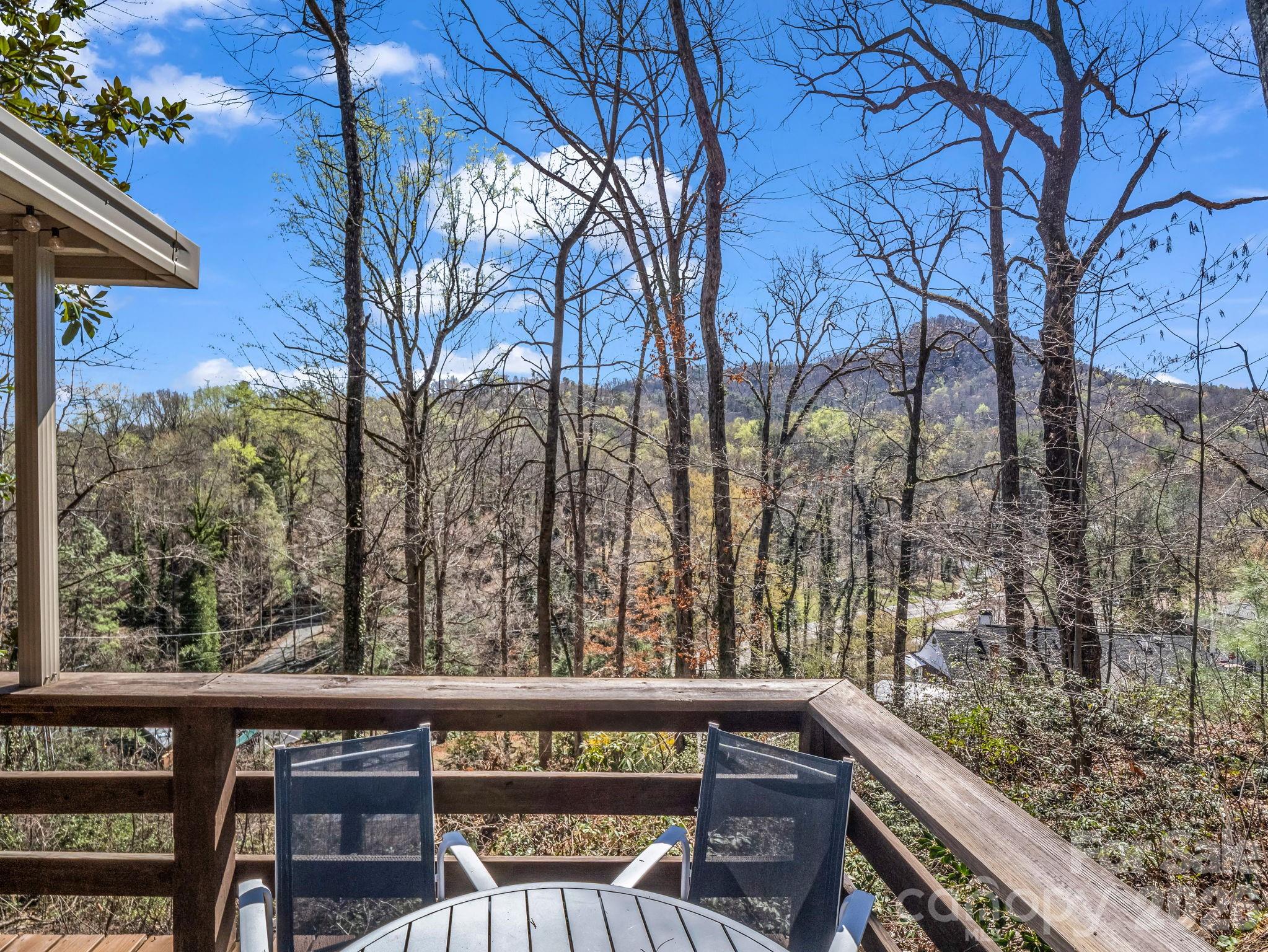 365 Seton Road Lake Lure, NC 28746 - Photo 25 of 41 Gallery Image 25
