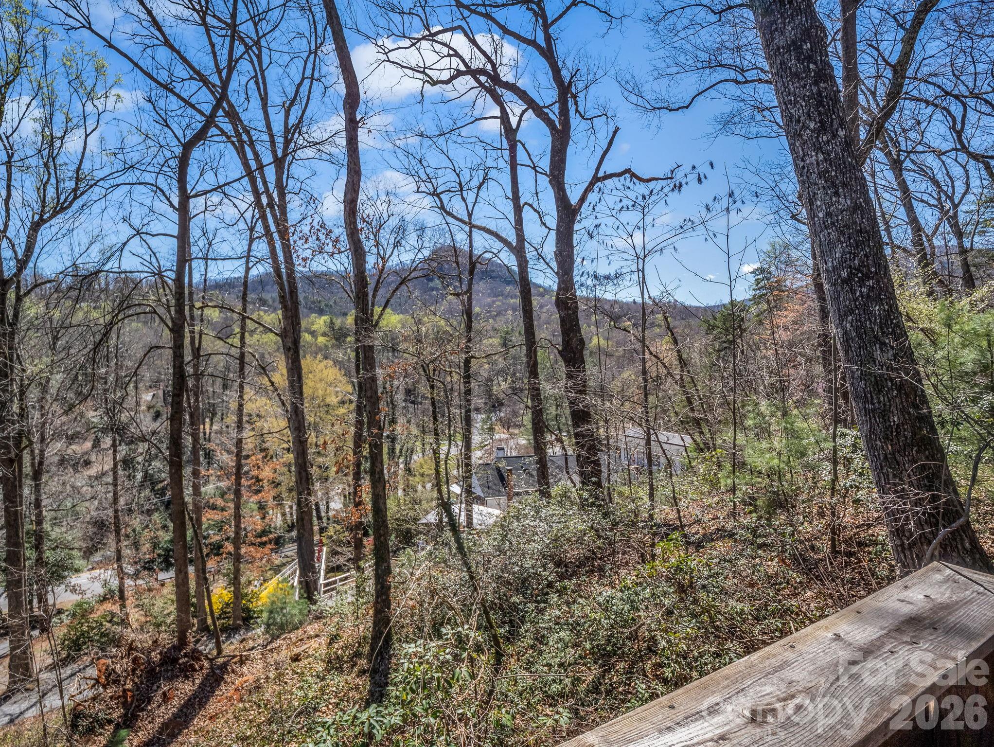 365 Seton Road Lake Lure, NC 28746 - Photo 27 of 41 Gallery Image 27