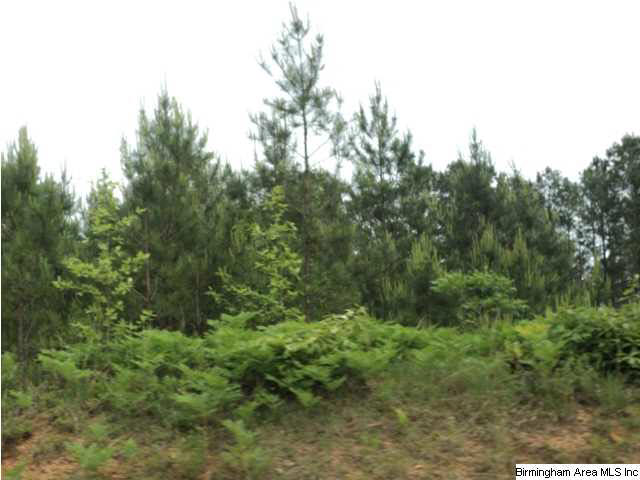 485 County Road, Unit 110 Clanton, AL 35046 - Photo 16 of 22