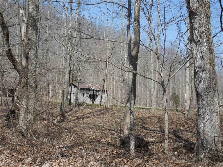 373 Rector Road Waynesburg, KY 40489 - Photo 12 of 44 Photo 12