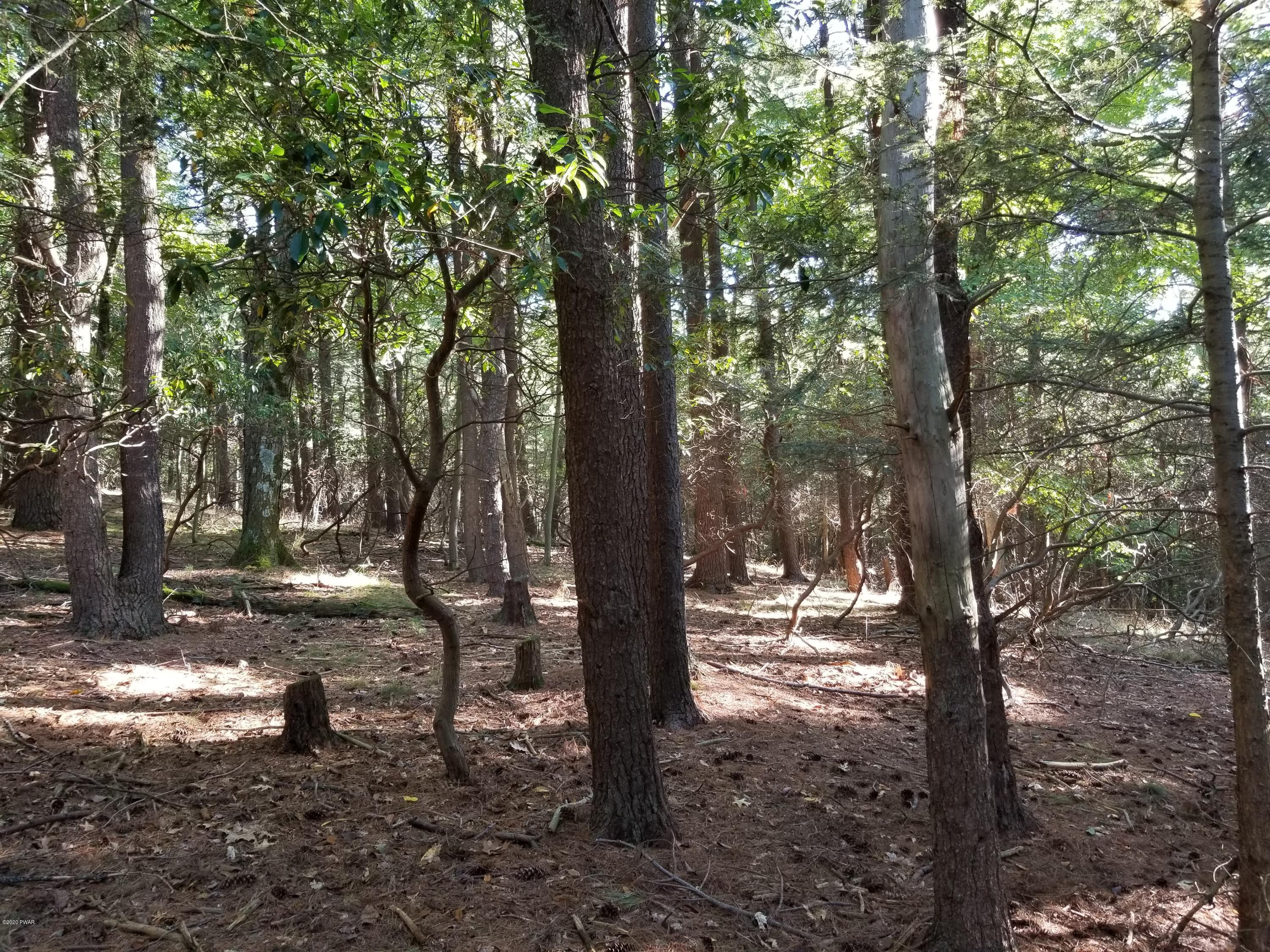 Coutts Point Drive Paupack, PA 18451 - Photo 14 of 22