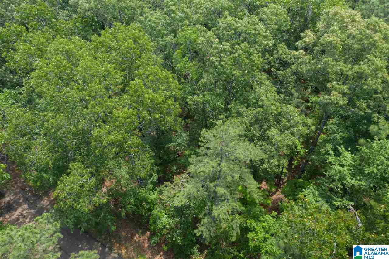 5 Augusta Way, Unit 154 Birmingham, AL 35242 - Photo 6 of 7