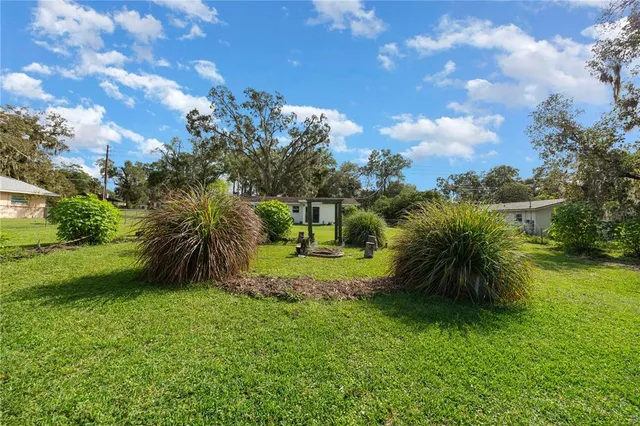 a view of a garden with plants and large trees