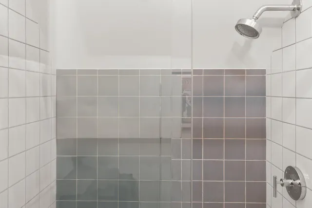 $7,200,000 | 627 East Colorado Avenue, Telluride, CO 81435