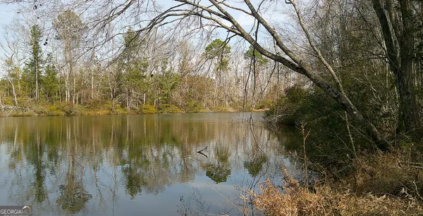 $780,900 | 35 Barwick Kea Road, Adrian, GA 31002