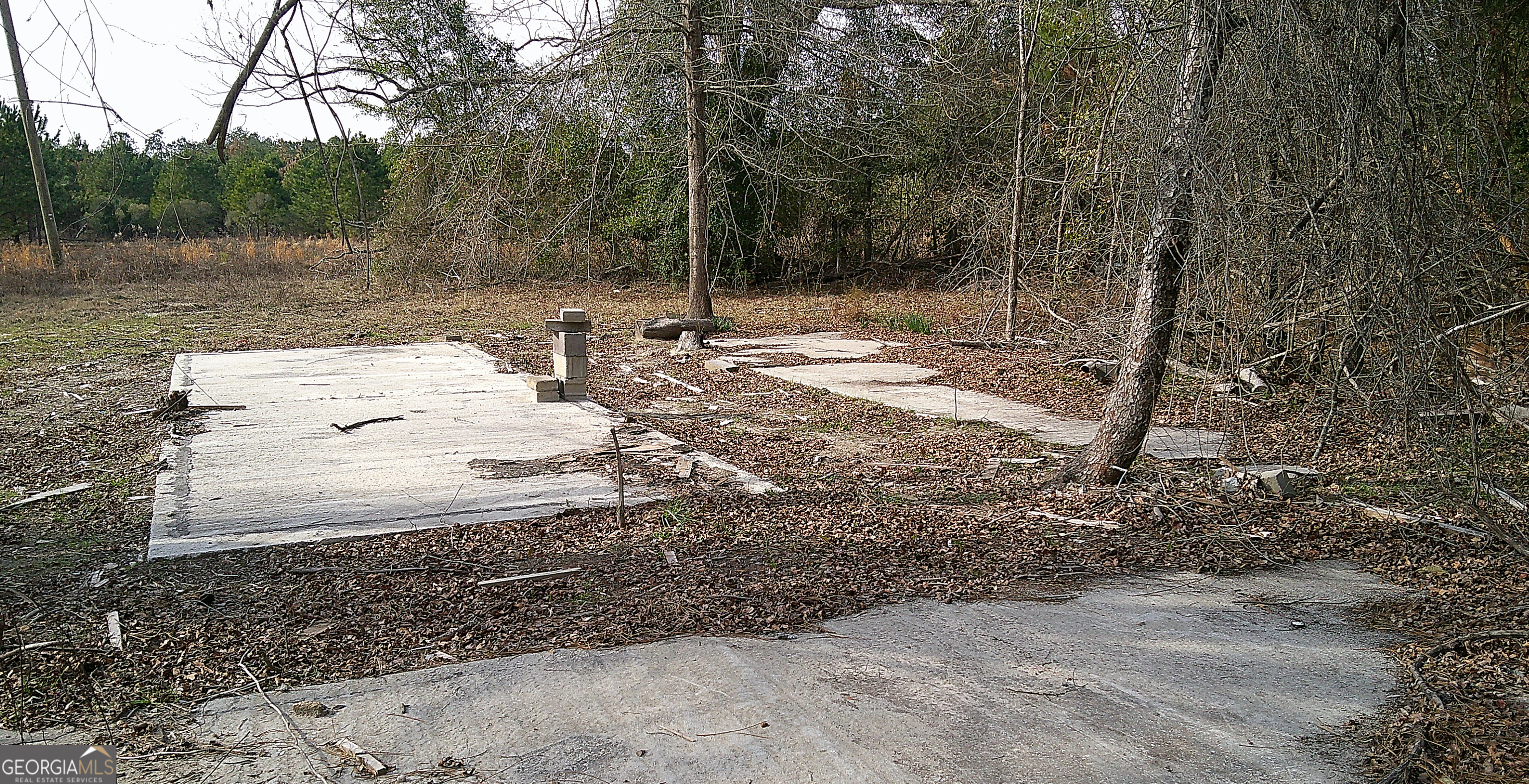 35 Barwick Kea Road Adrian, GA 31002 - Photo 14 of 73