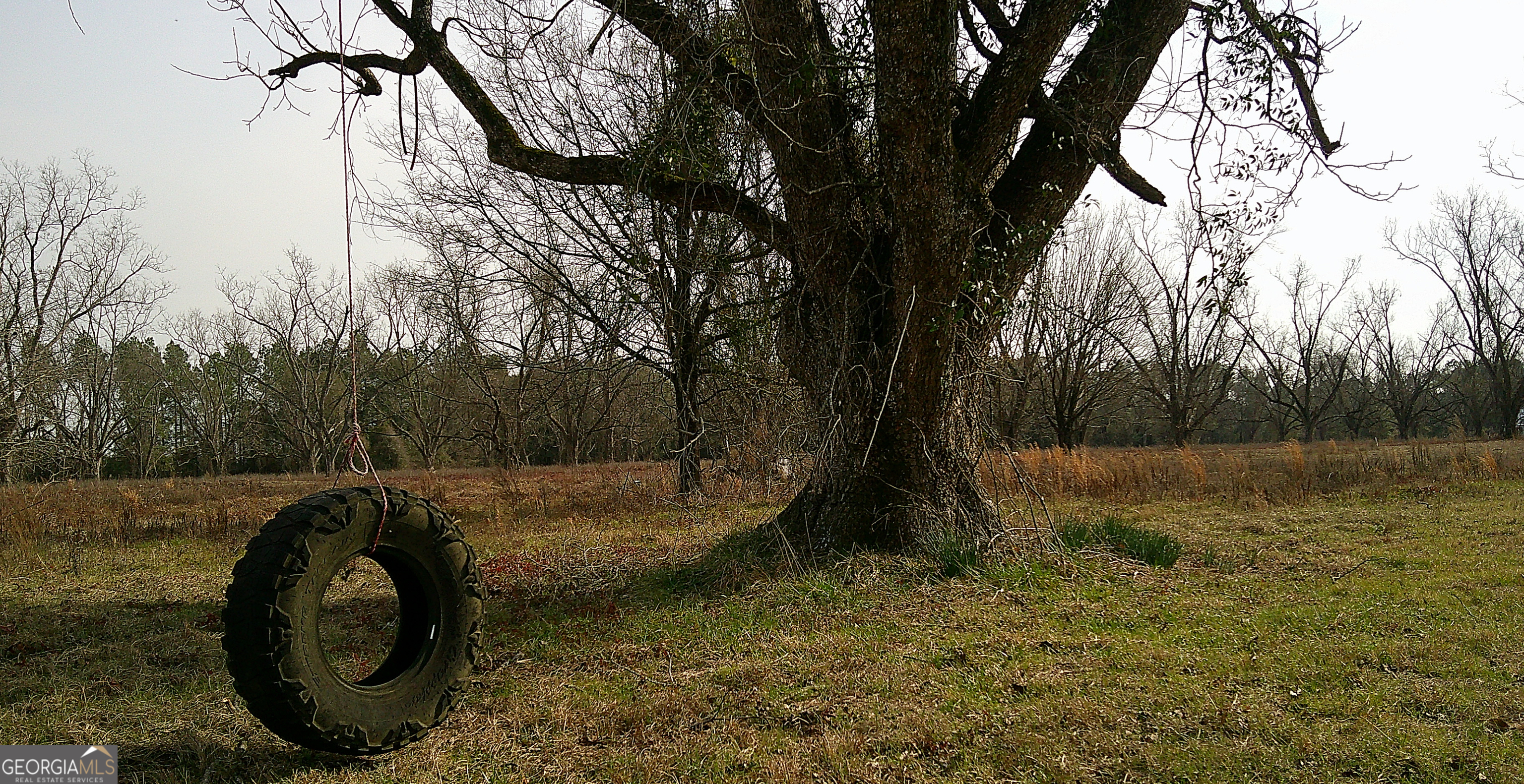 35 Barwick Kea Road Adrian, GA 31002 - Photo 15 of 73