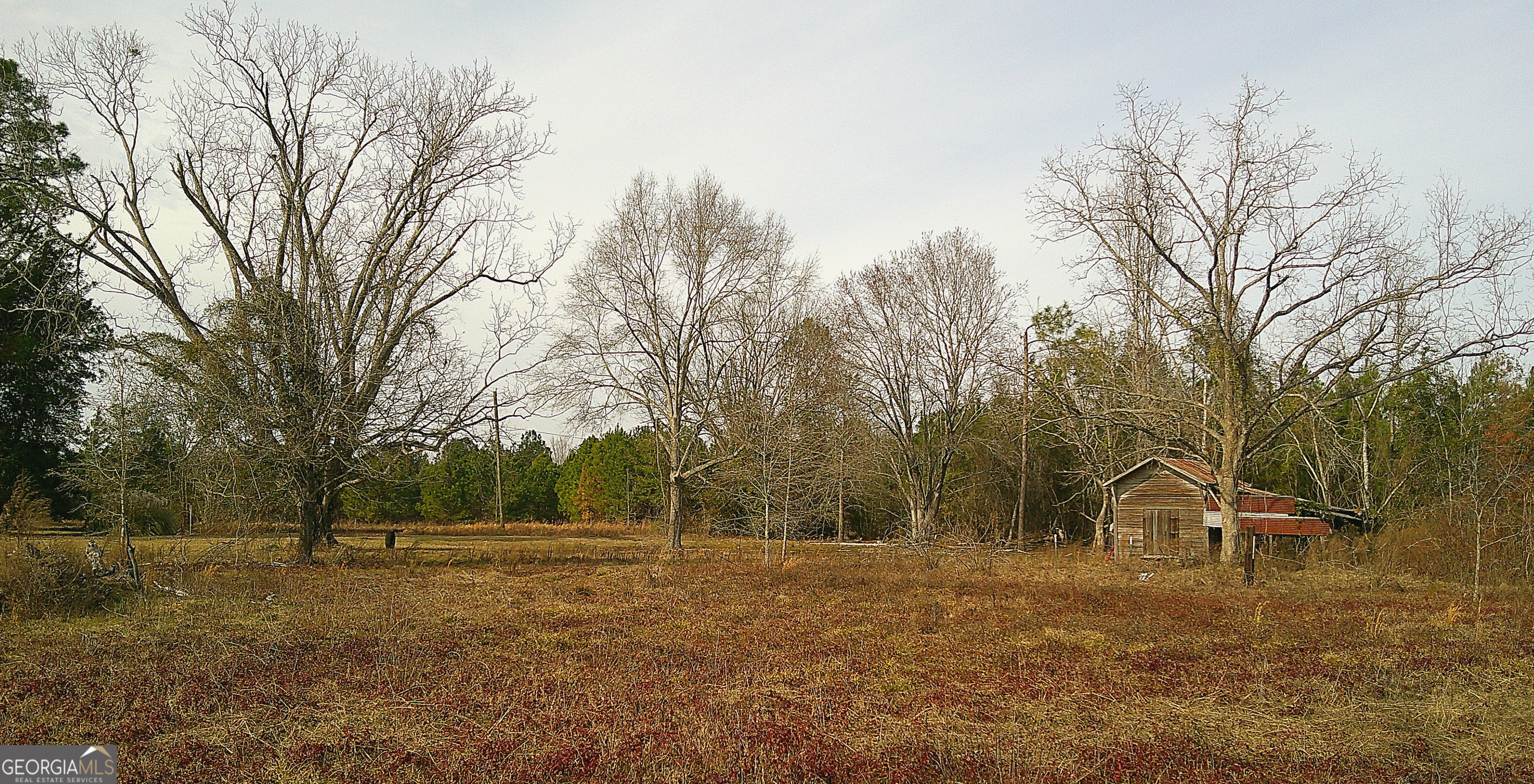 35 Barwick Kea Road Adrian, GA 31002 - Photo 17 of 73