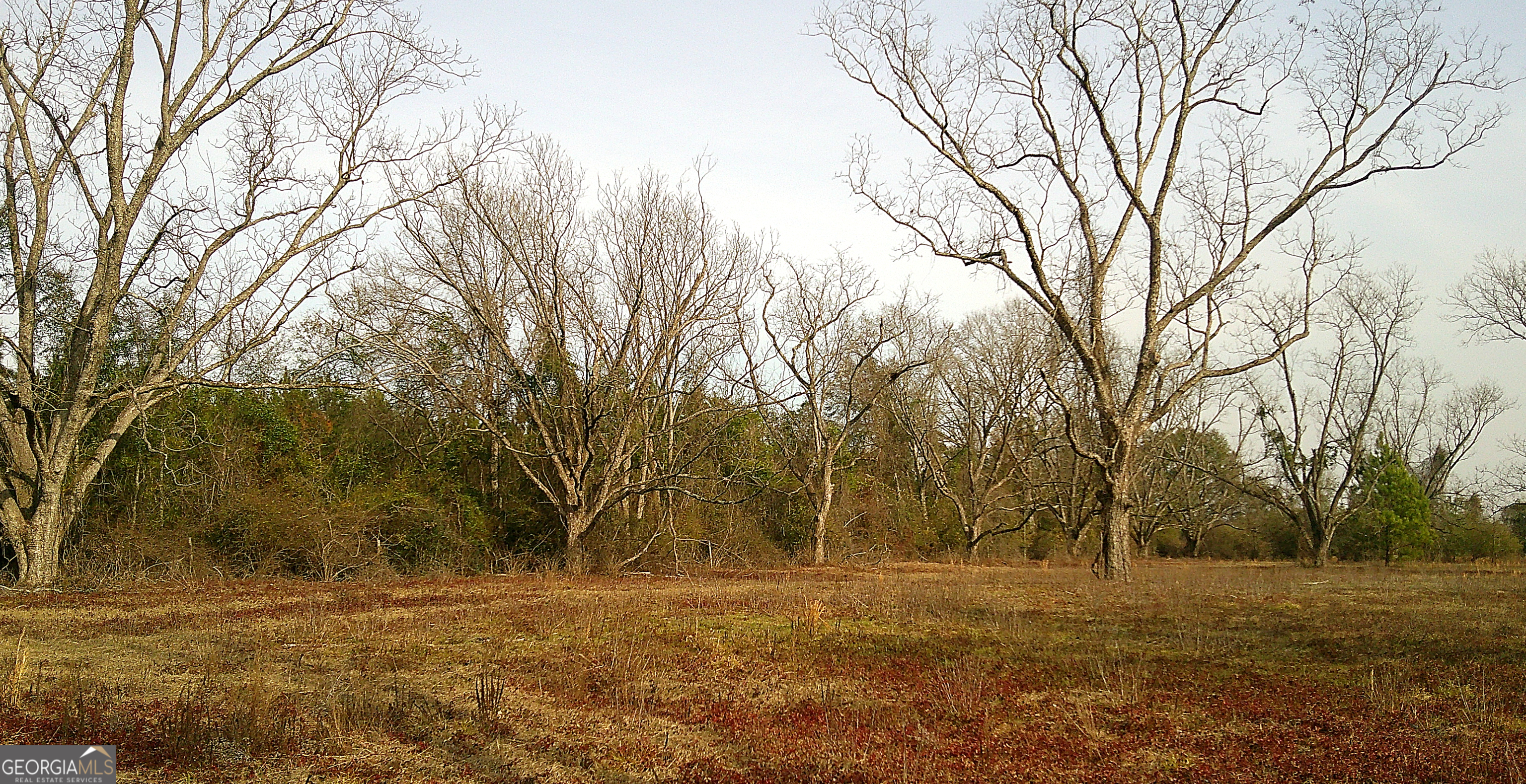 35 Barwick Kea Road Adrian, GA 31002 - Photo 18 of 73