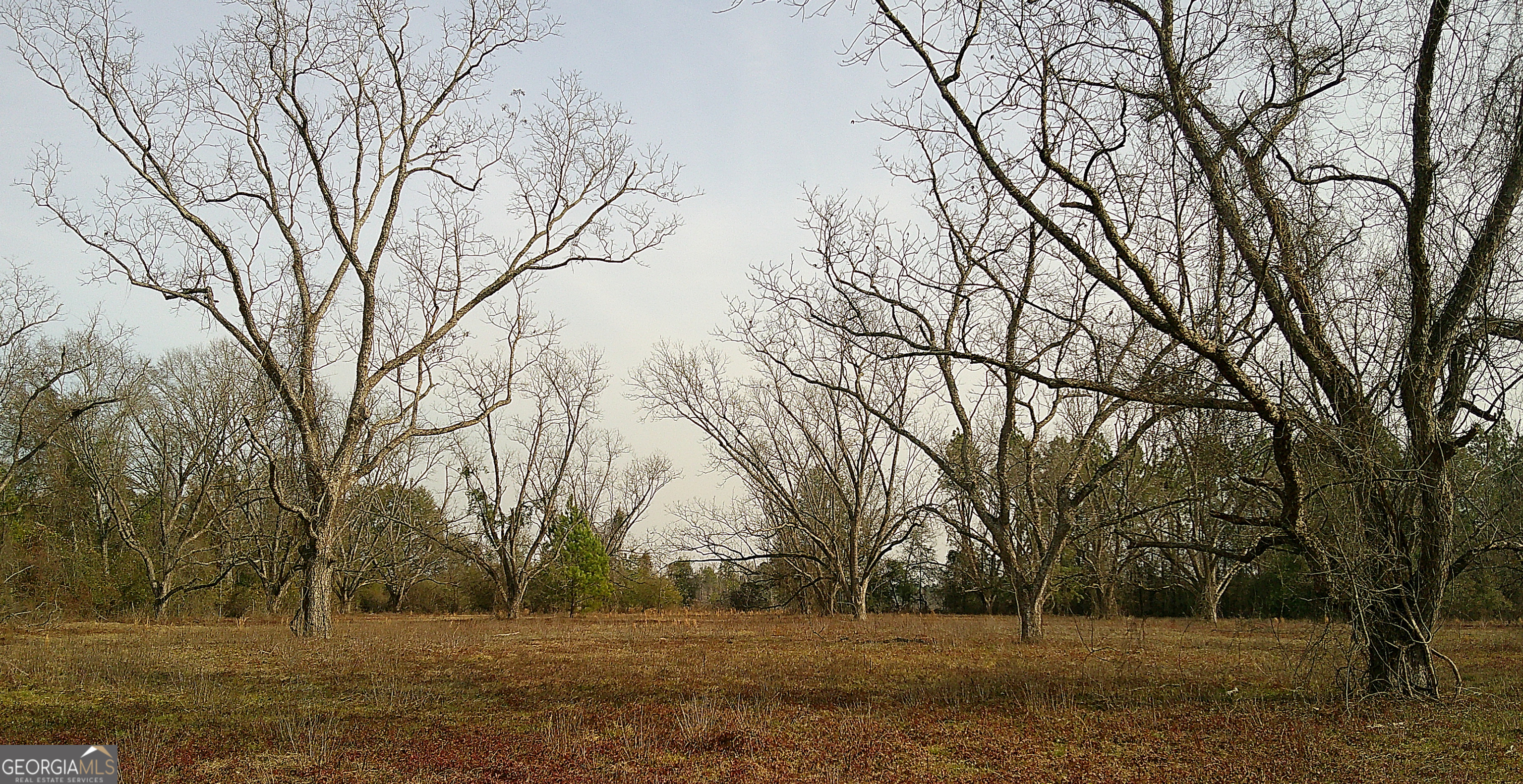 35 Barwick Kea Road Adrian, GA 31002 - Photo 19 of 73