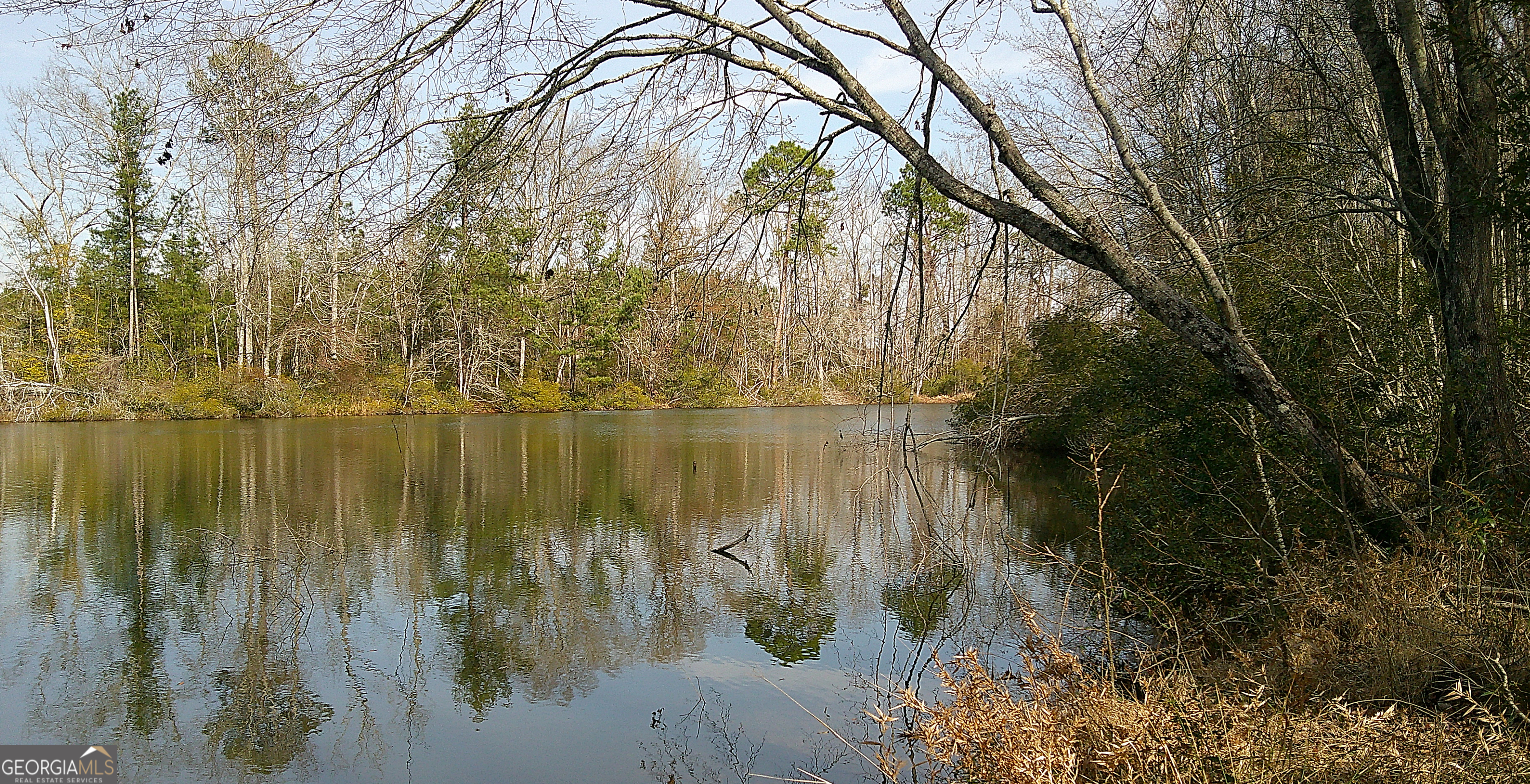 35 Barwick Kea Road Adrian, GA 31002 - Photo 2 of 73