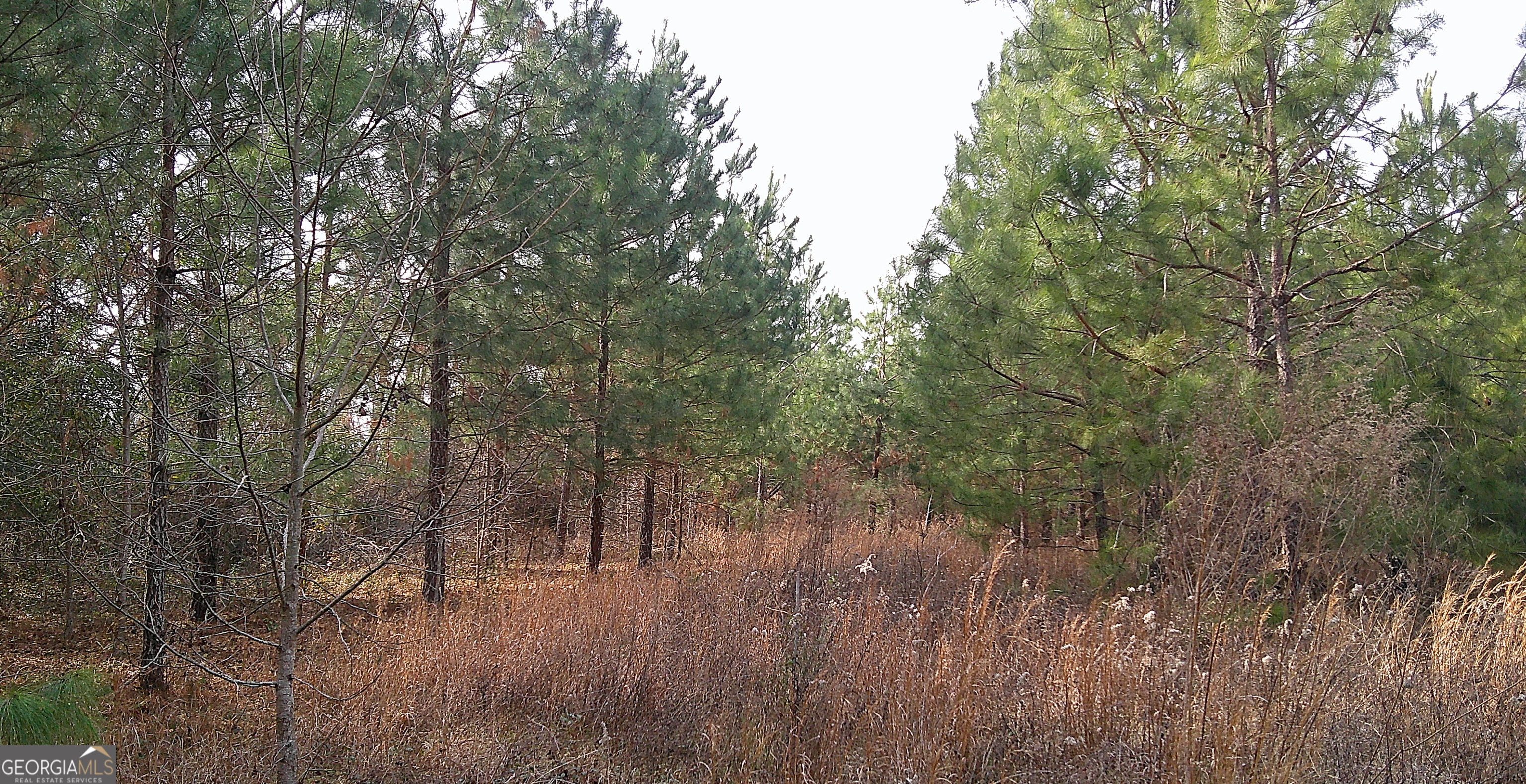 35 Barwick Kea Road Adrian, GA 31002 - Photo 21 of 73
