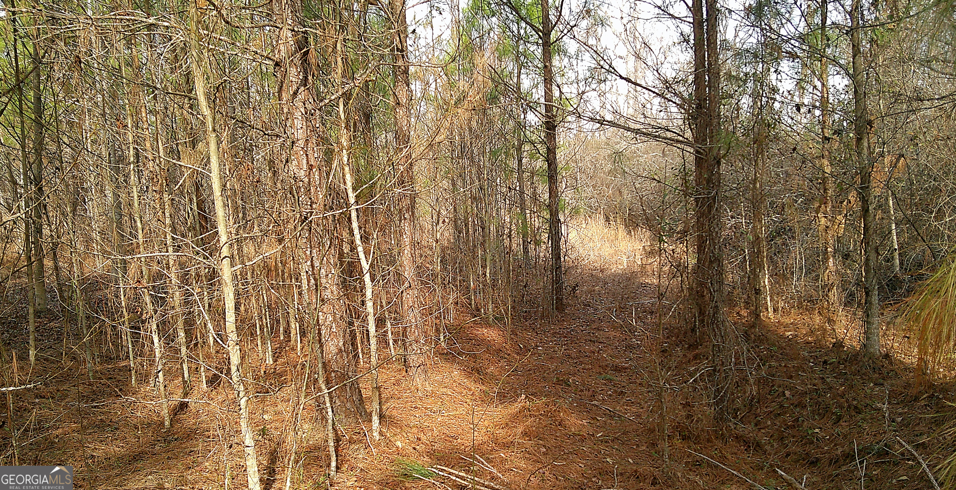 35 Barwick Kea Road Adrian, GA 31002 - Photo 23 of 73