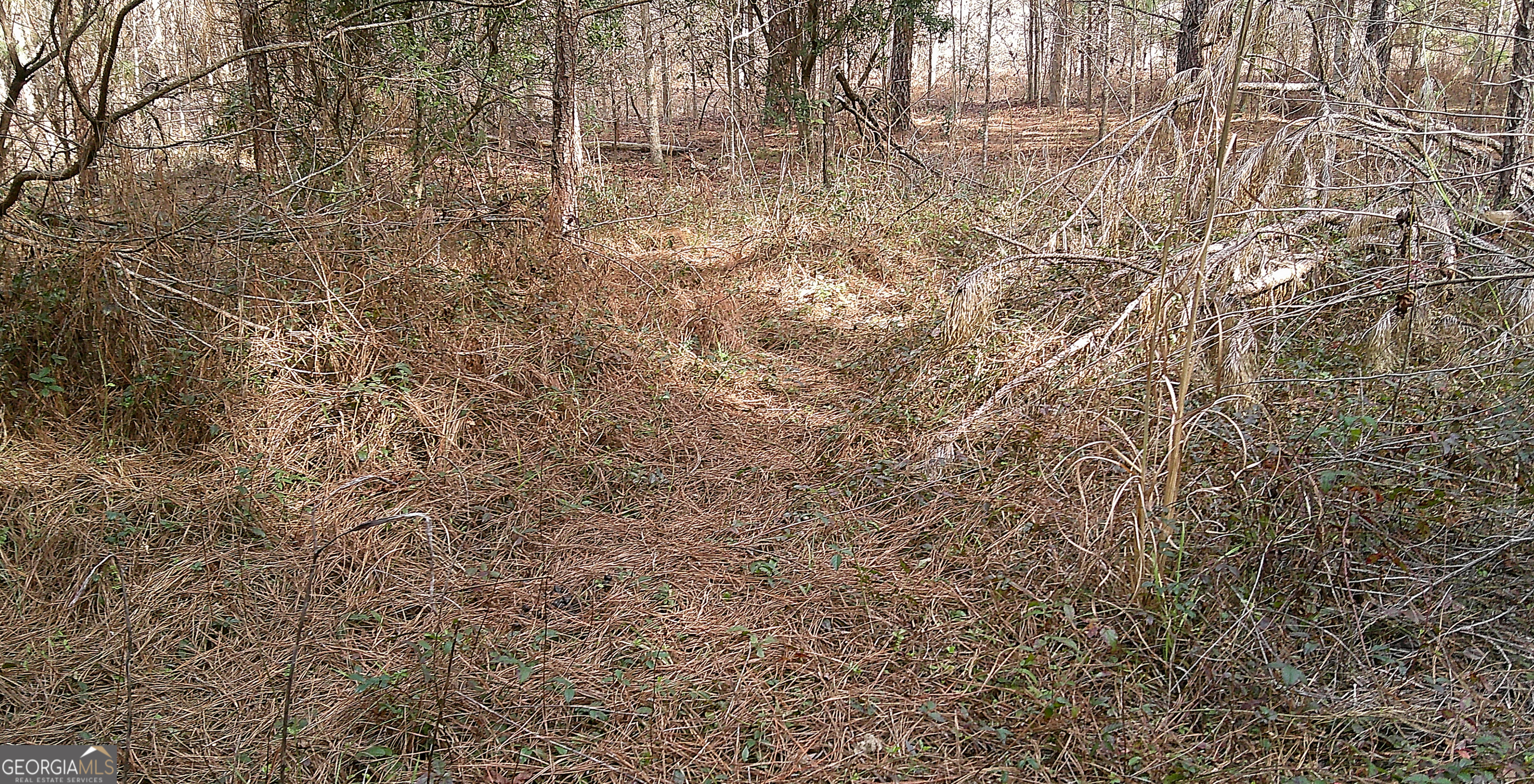 35 Barwick Kea Road Adrian, GA 31002 - Photo 24 of 73