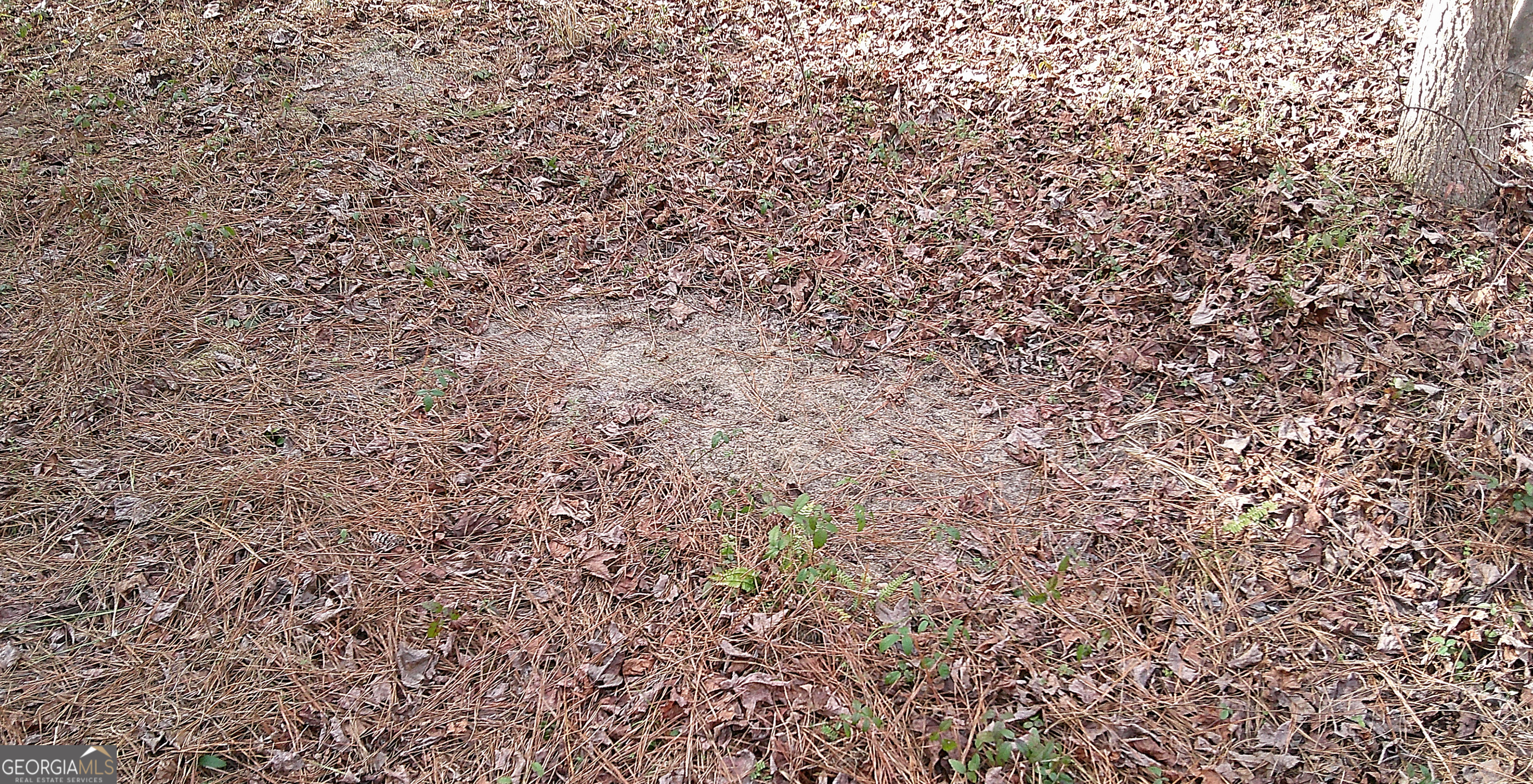 35 Barwick Kea Road Adrian, GA 31002 - Photo 25 of 73