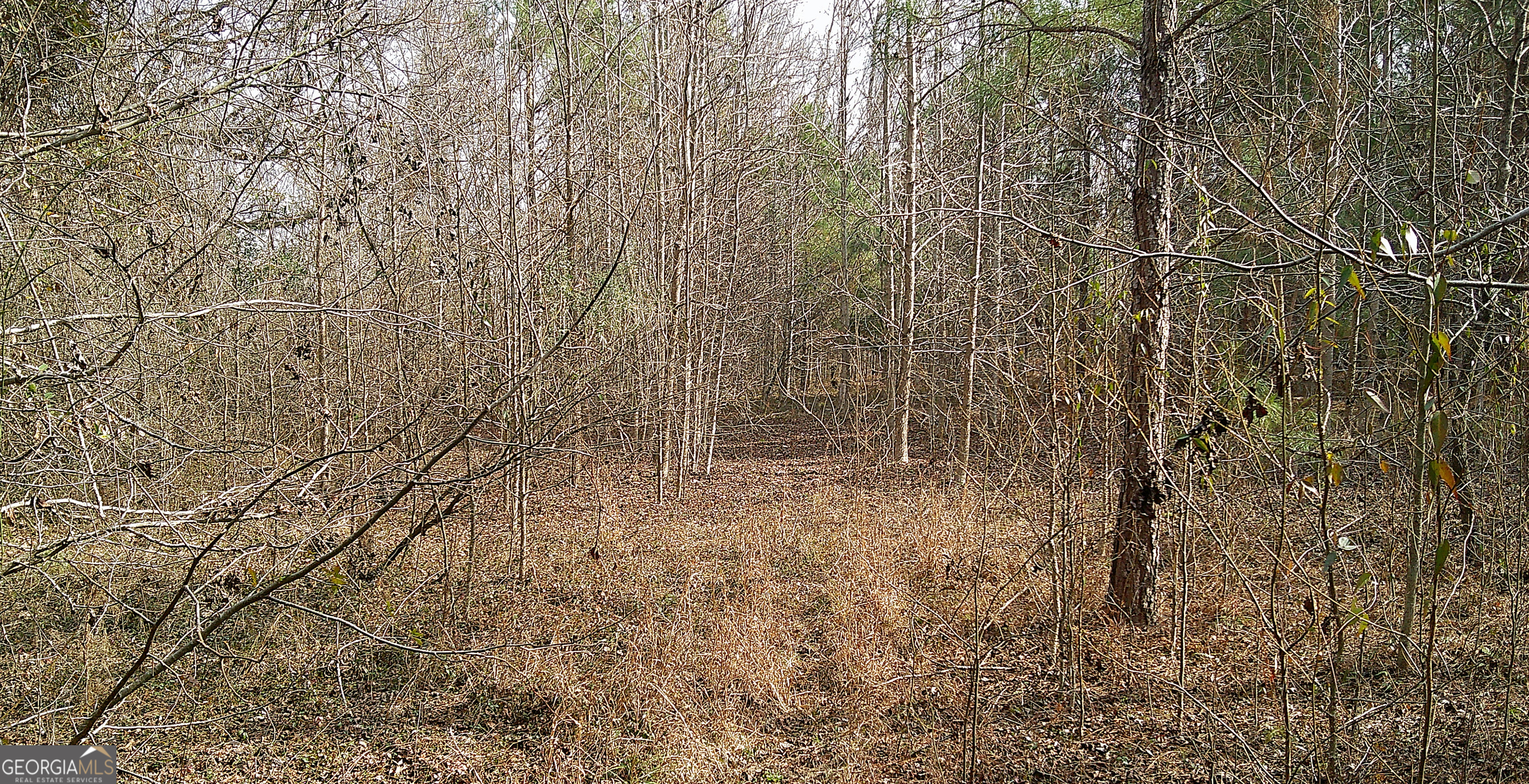 35 Barwick Kea Road Adrian, GA 31002 - Photo 26 of 73