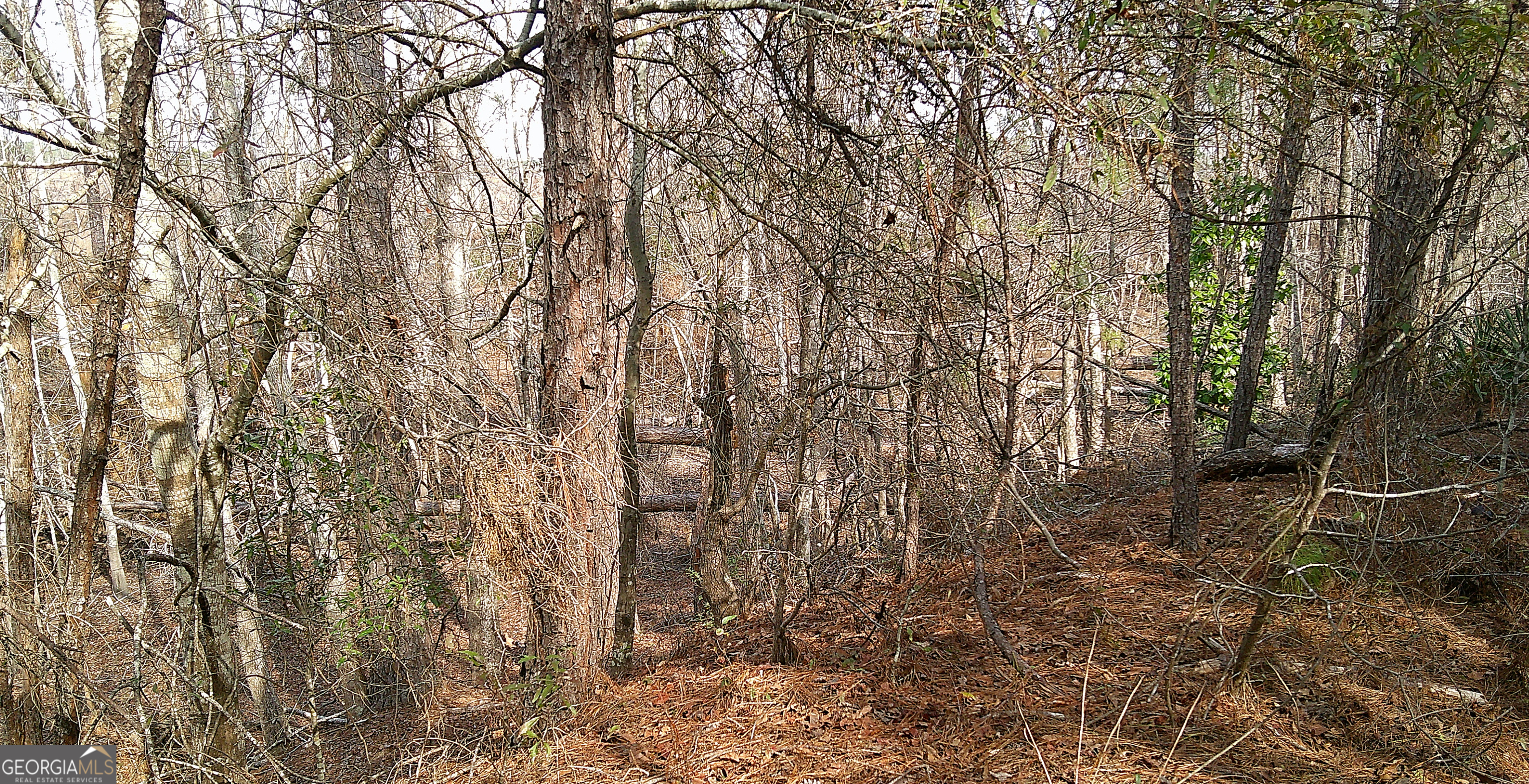 35 Barwick Kea Road Adrian, GA 31002 - Photo 27 of 73