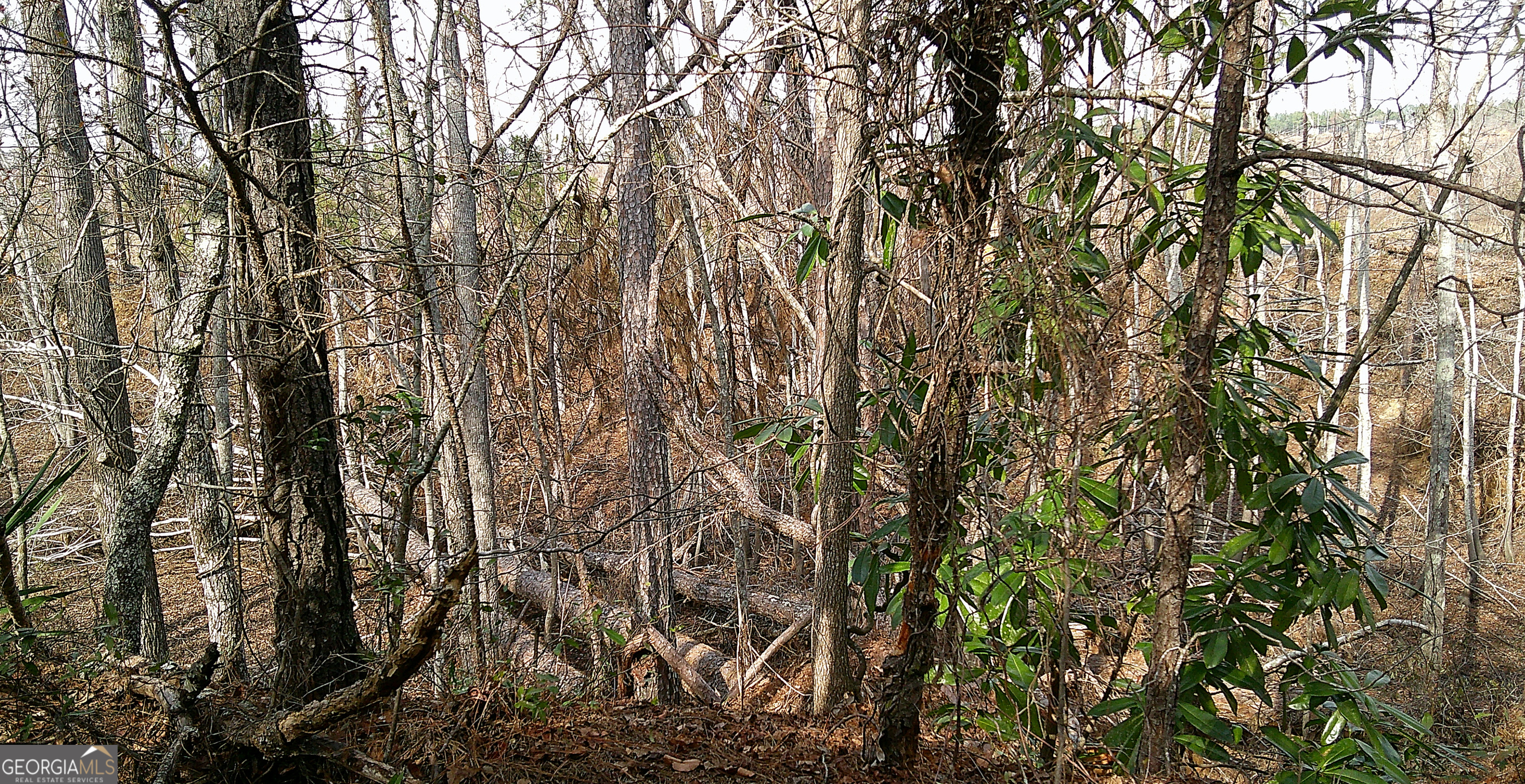 35 Barwick Kea Road Adrian, GA 31002 - Photo 28 of 73